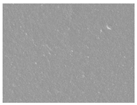 Polymers 14 05042 i010 Polymers 14 05042 i010