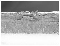 Polymers 14 05042 i013 Polymers 14 05042 i013