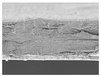 Polymers 14 05042 i015 Polymers 14 05042 i015