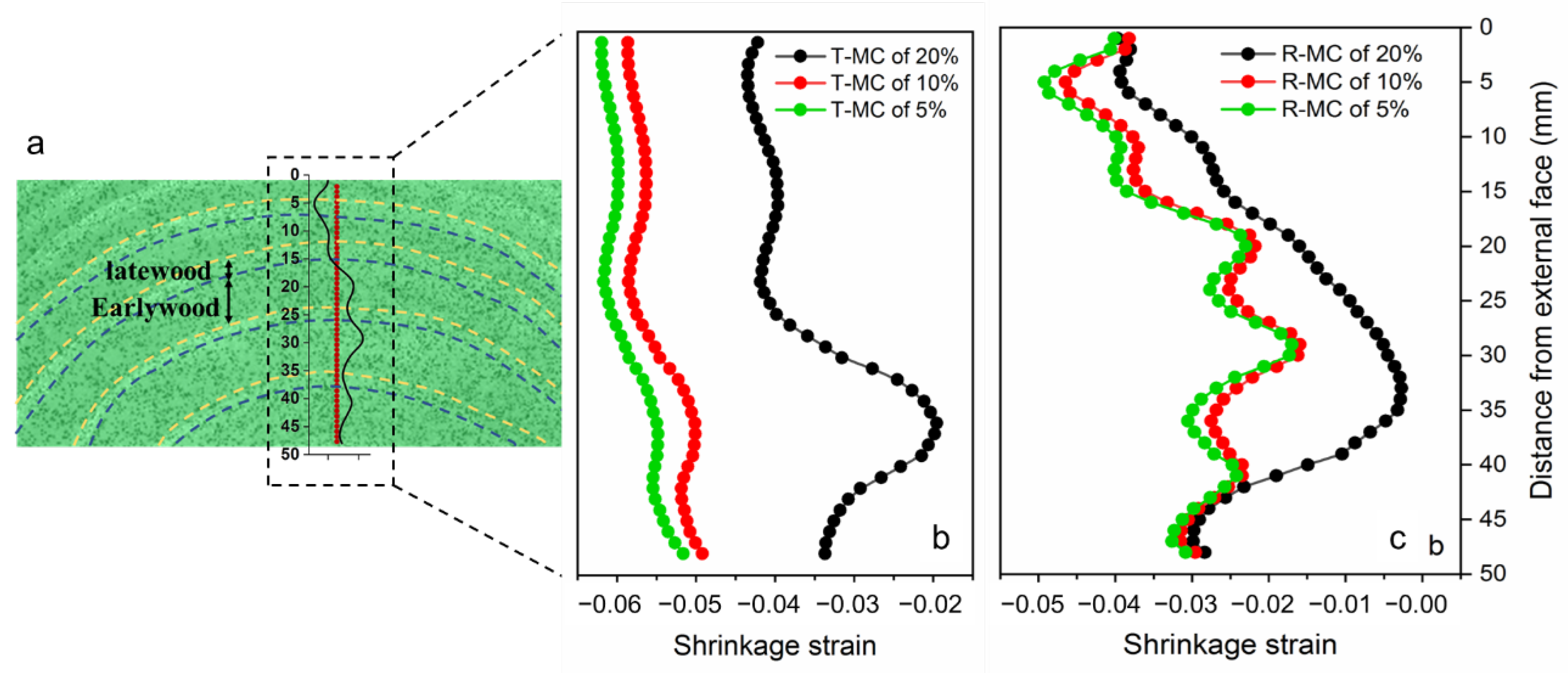 Polymers 14 05045 g004