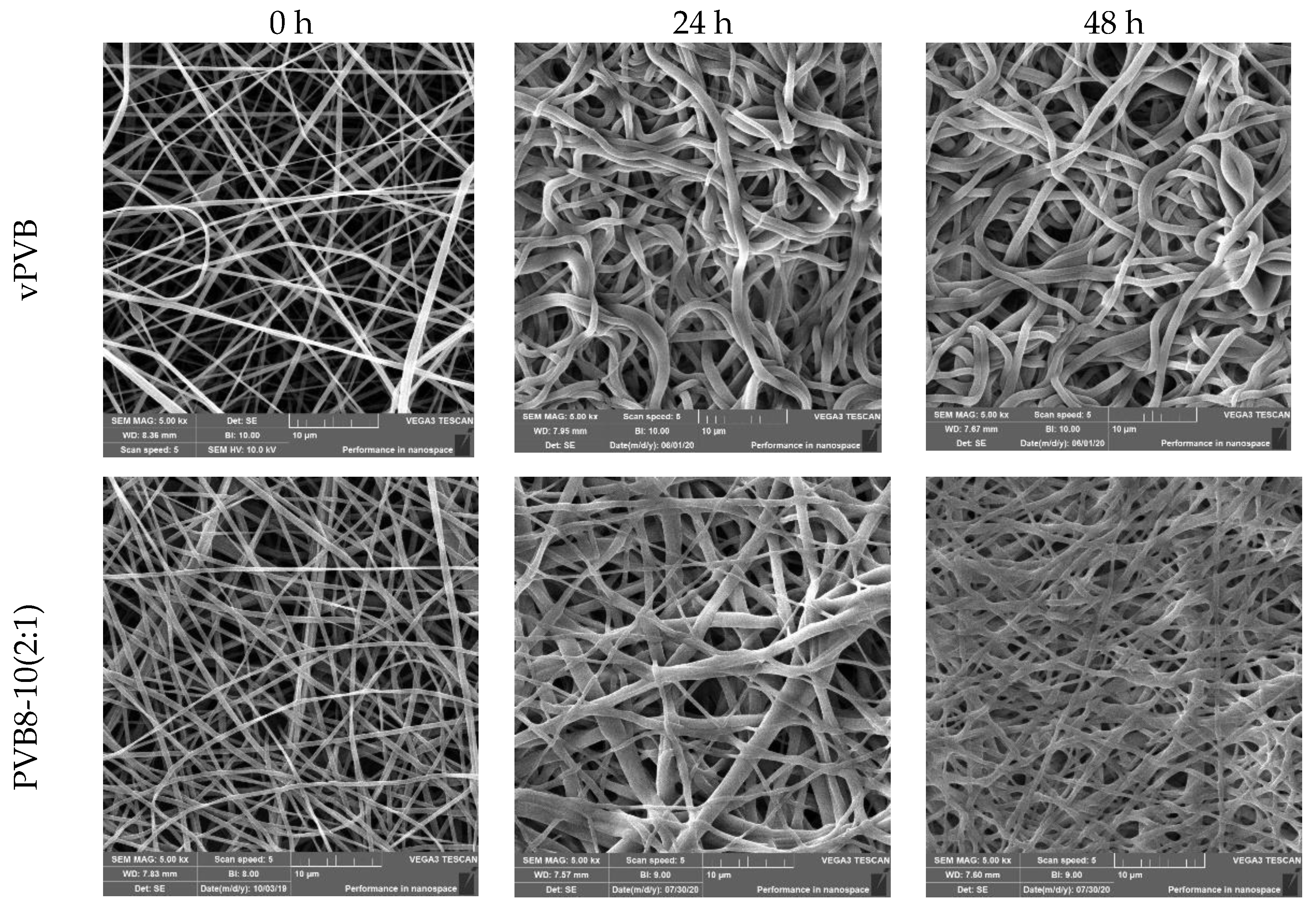 Polymers 14 05049 g016a Polymers 14 05049 g016a