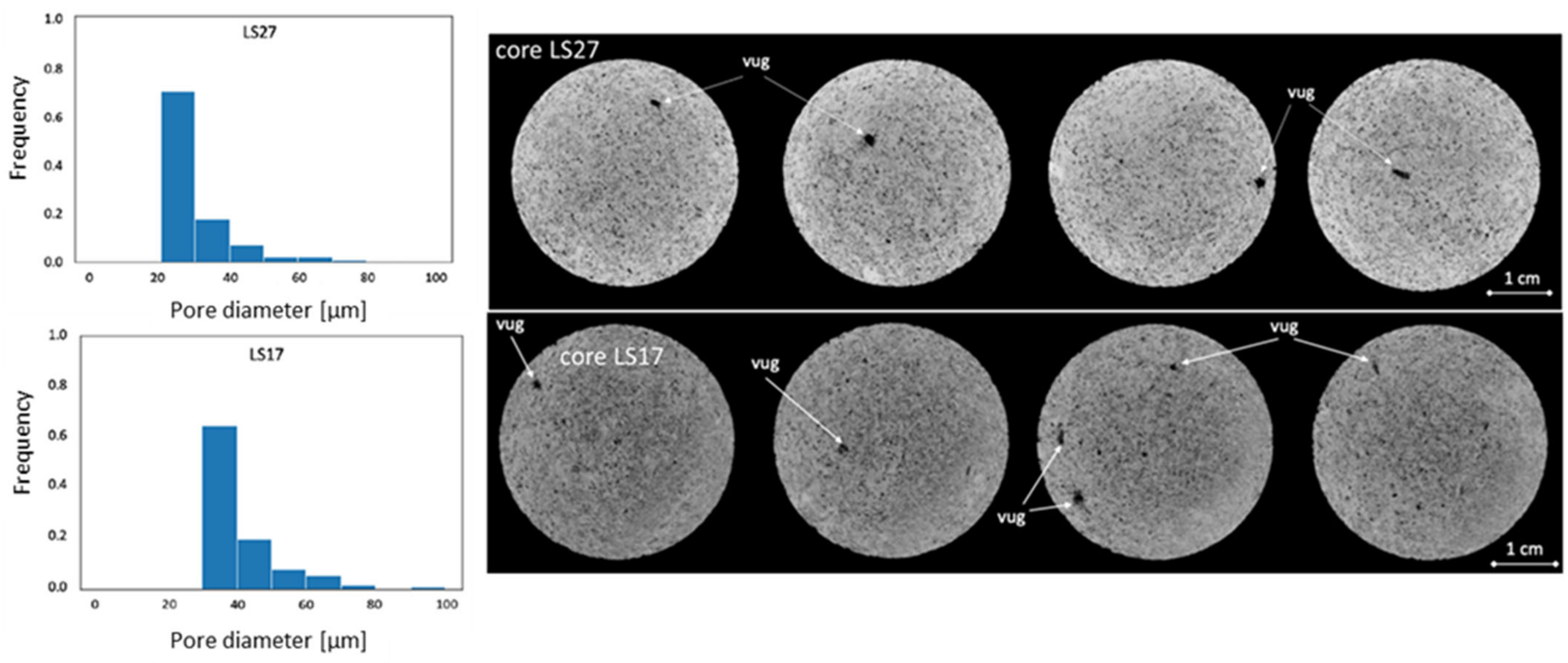 Polymers 14 05050 g001