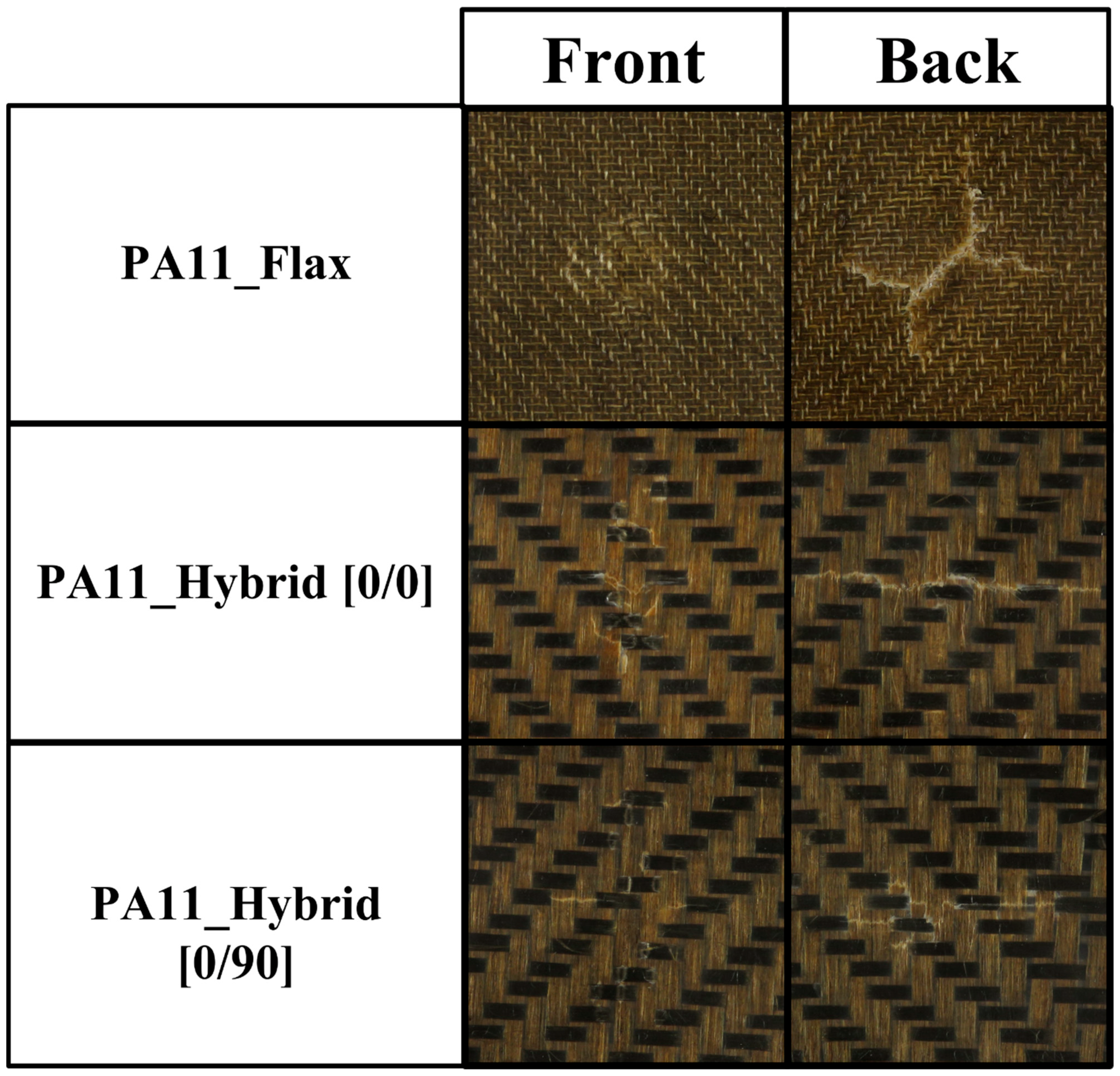 Polymers 14 05053 g008