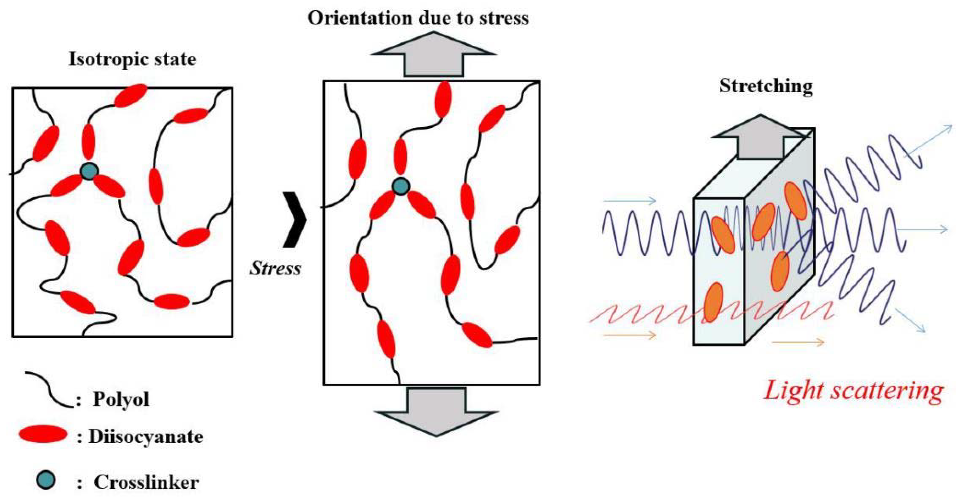 Polymers 14 05057 sch0a1 Polymers 14 05057 sch0a1