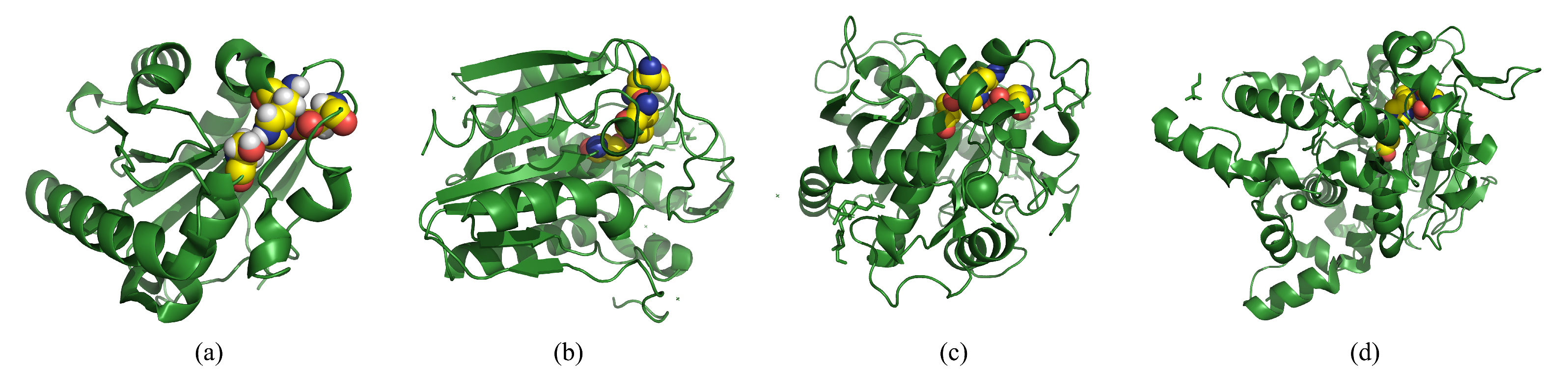 Polymers 14 05059 g004 Polymers 14 05059 g004