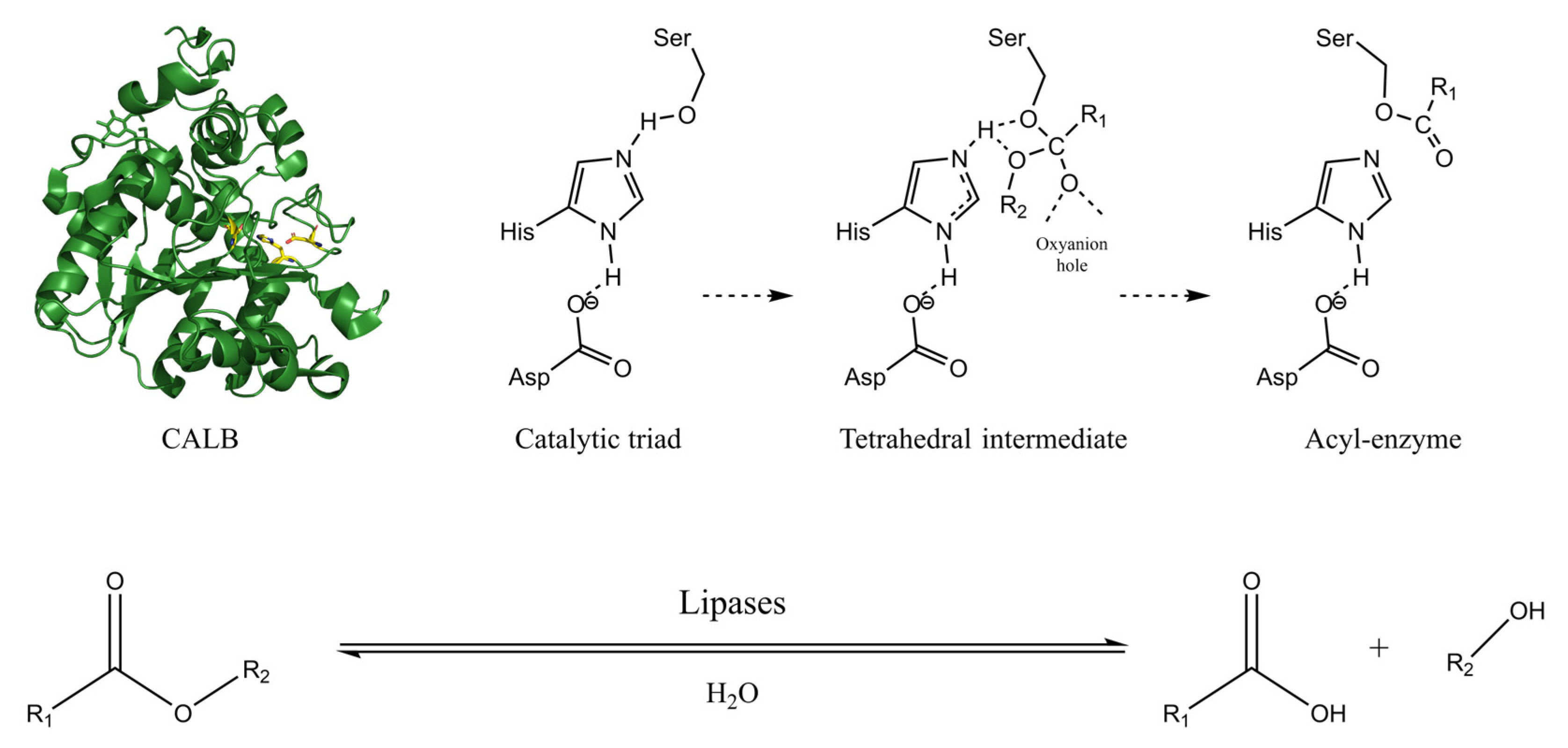 Polymers 14 05059 g005 Polymers 14 05059 g005