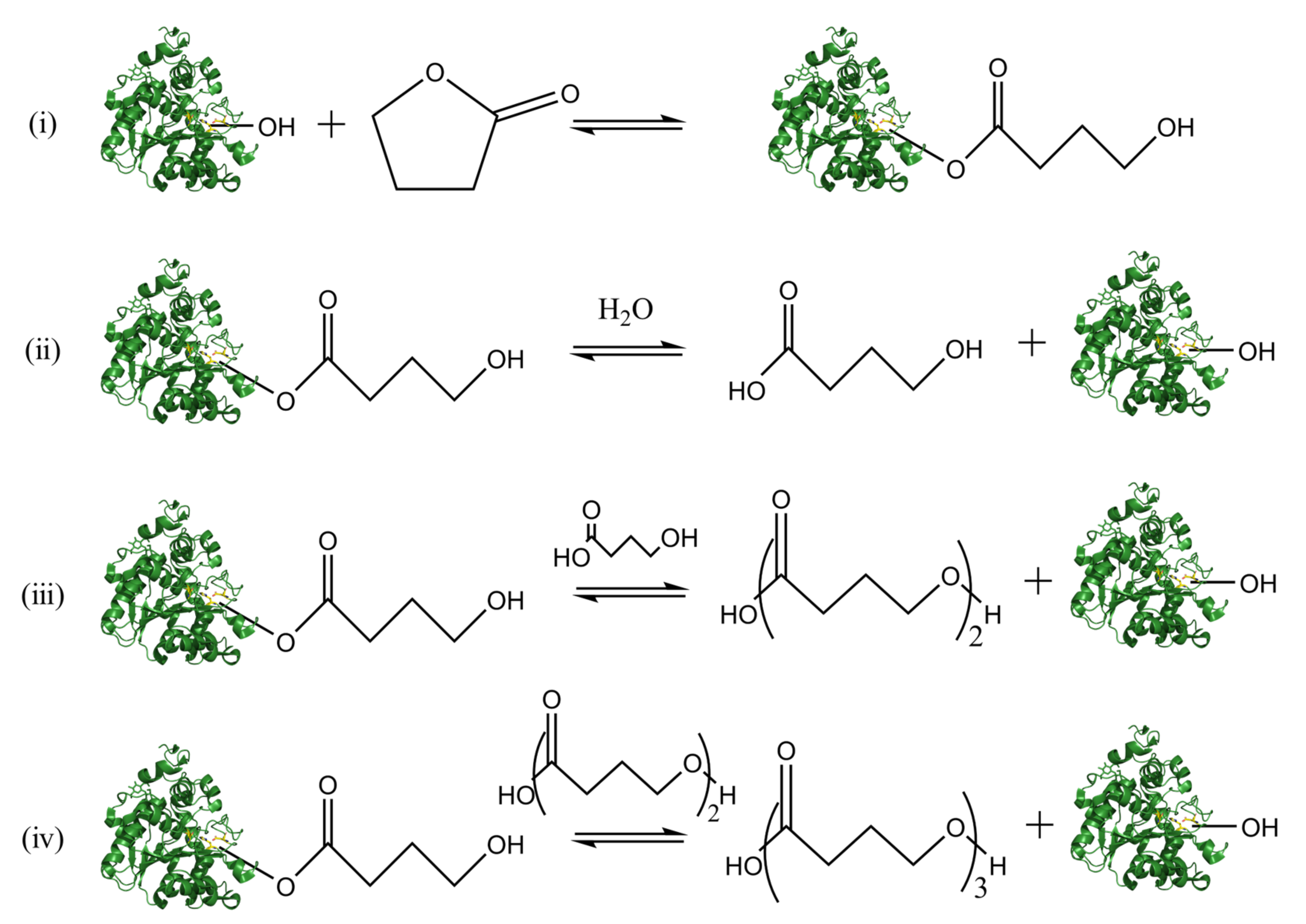 Polymers 14 05059 g006 Polymers 14 05059 g006