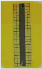 Polymers 14 05060 i010