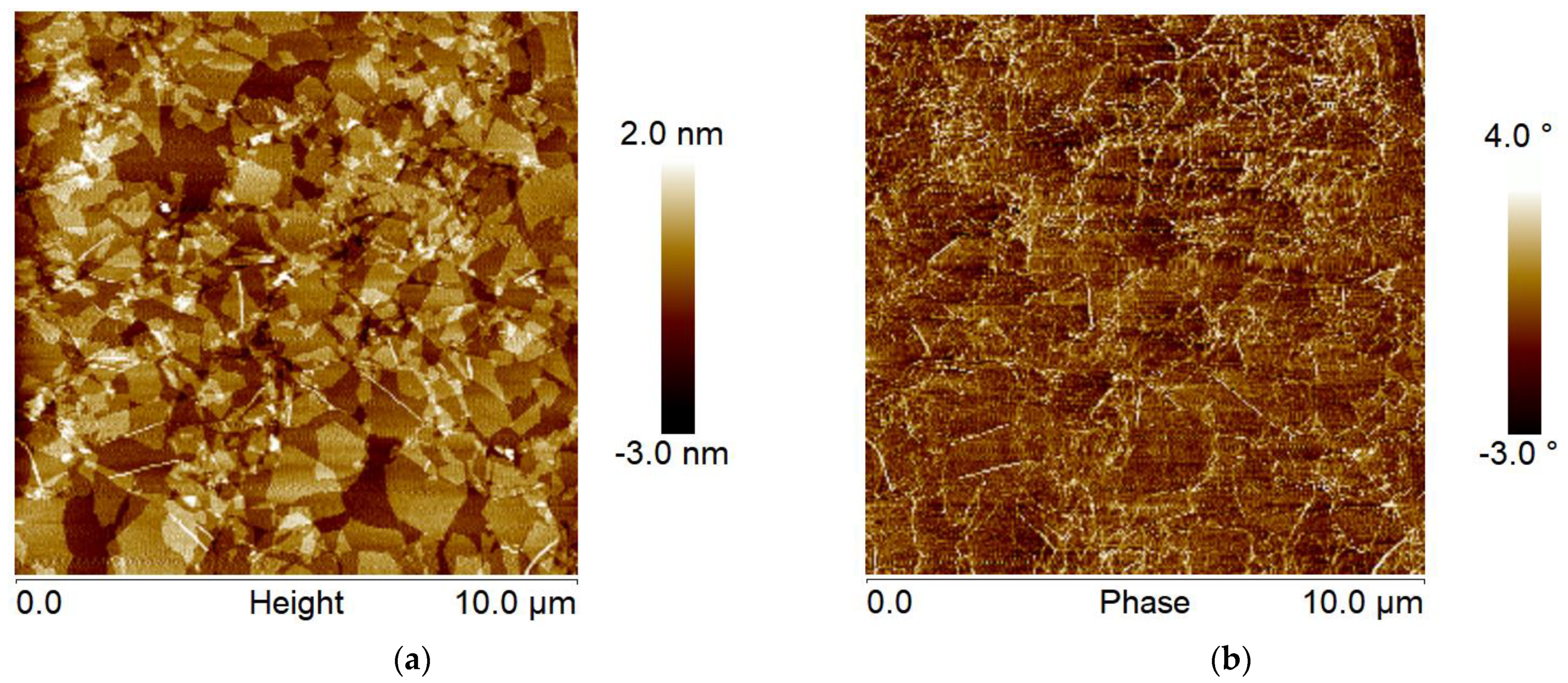 Polymers 14 05061 g004 Polymers 14 05061 g004