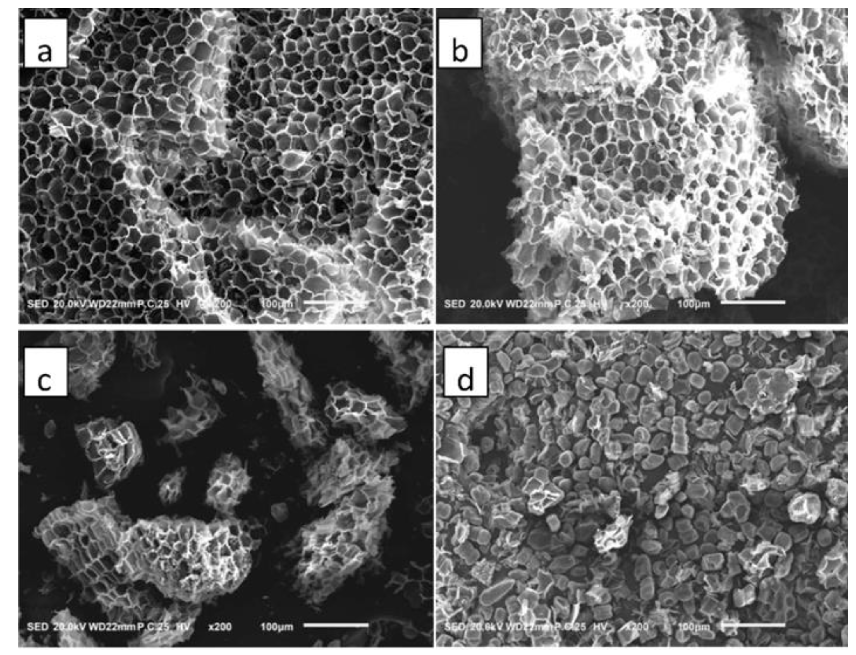 Polymers 14 05064 g003