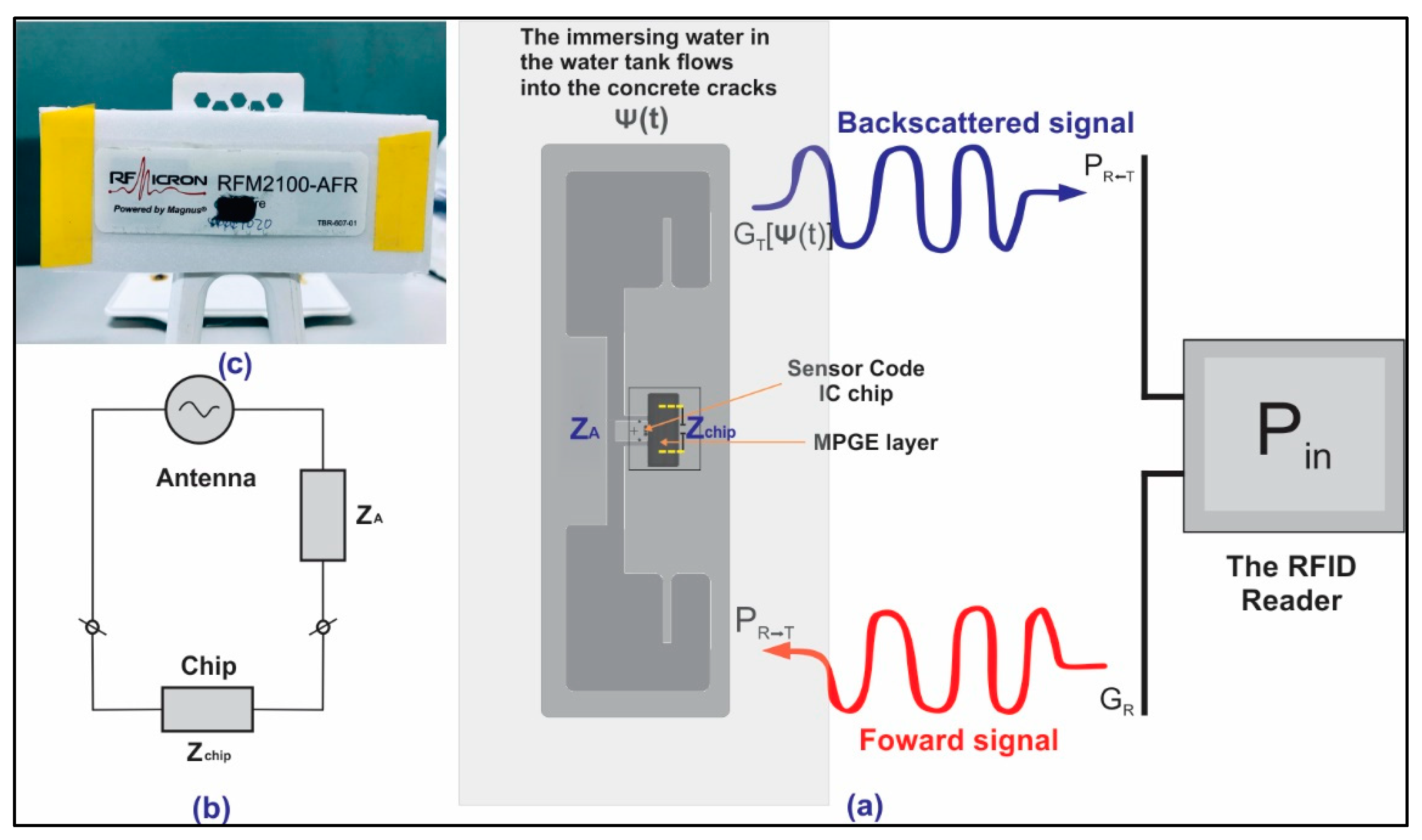 Polymers 14 05067 g001