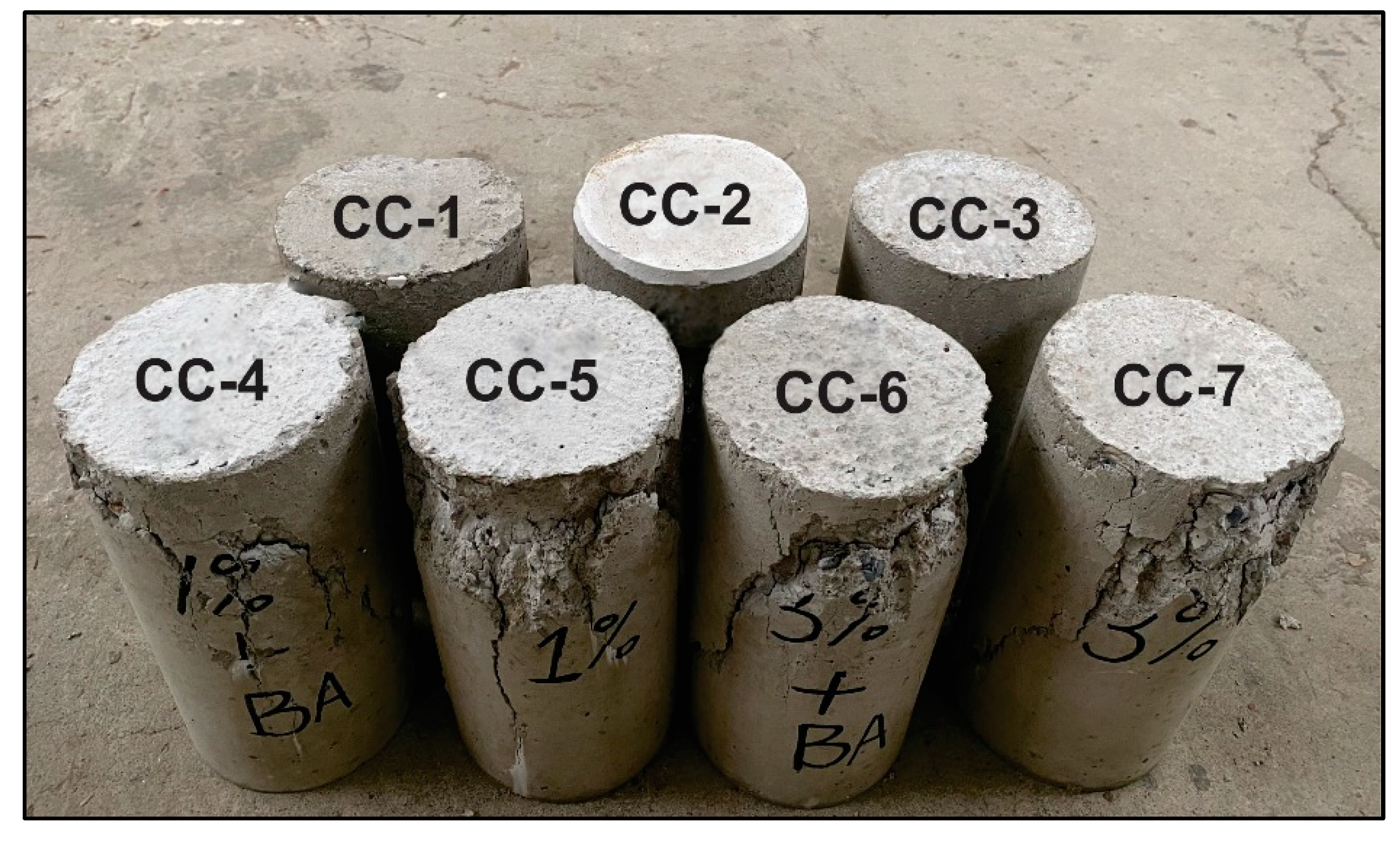 Polymers 14 05067 g007
