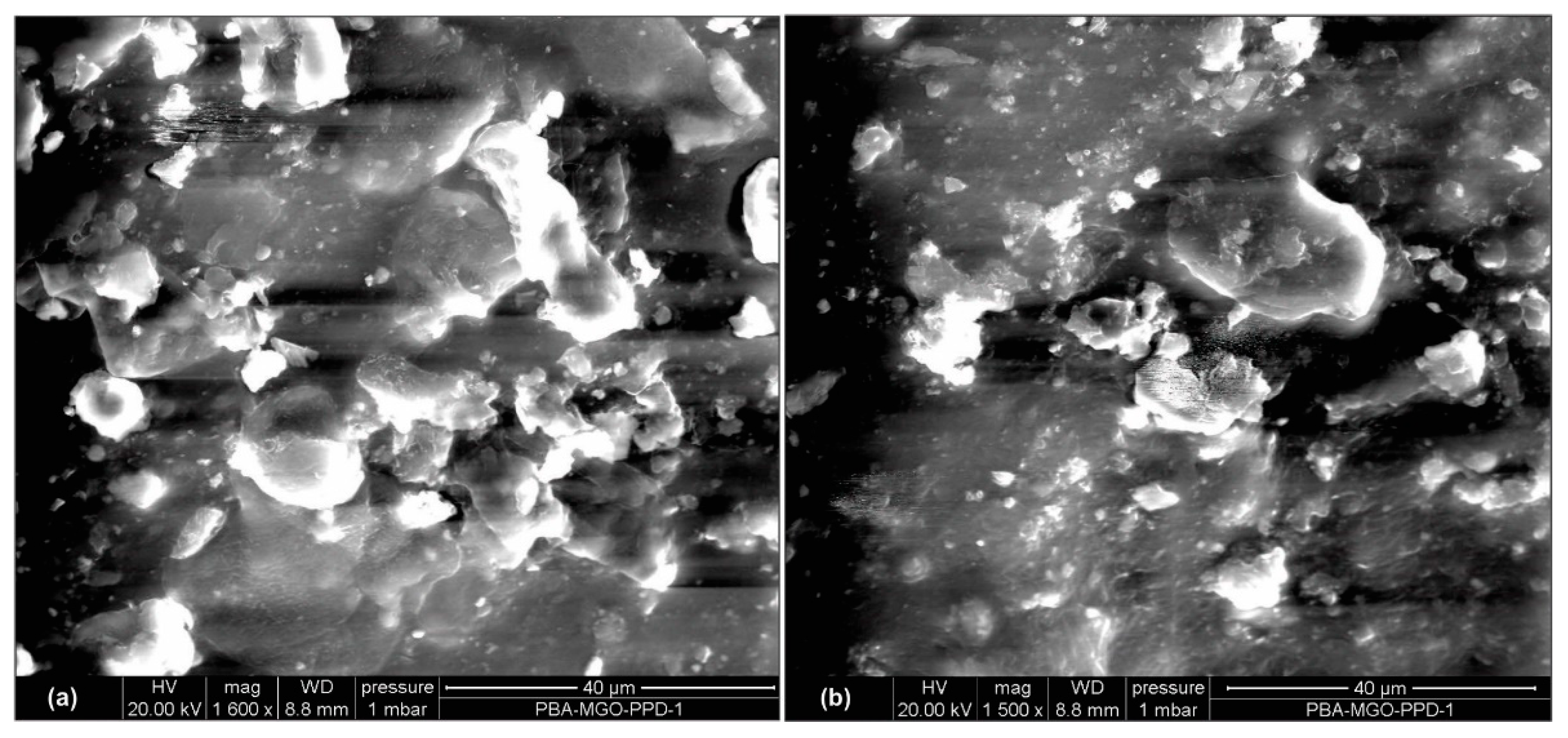 Polymers 14 05067 g012