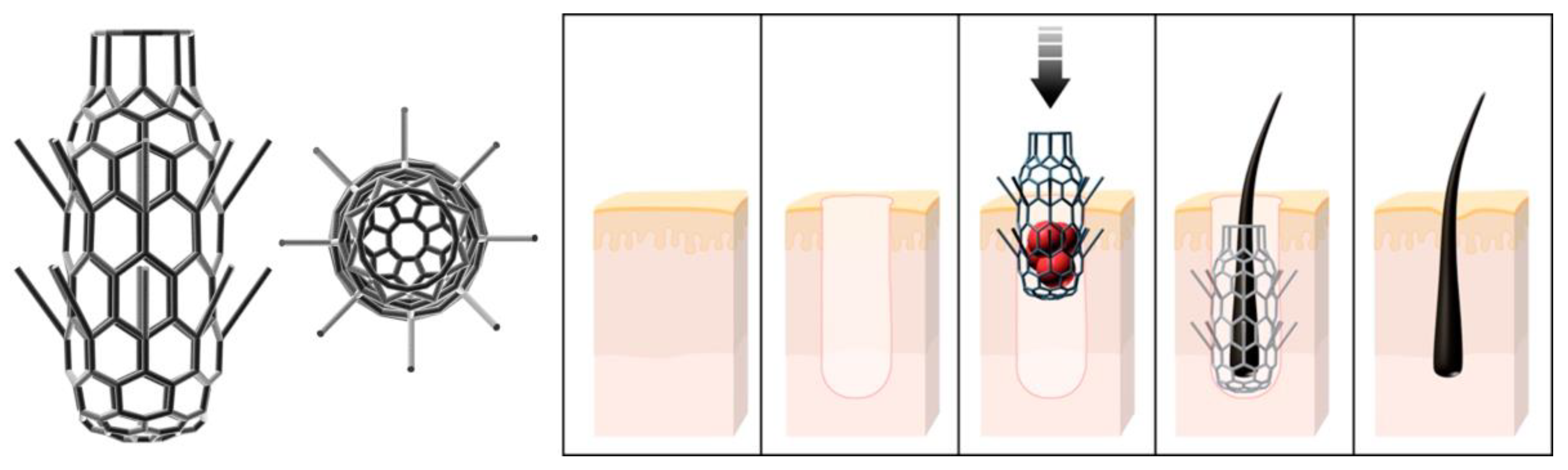 Polymers 14 05068 g002 Polymers 14 05068 g002