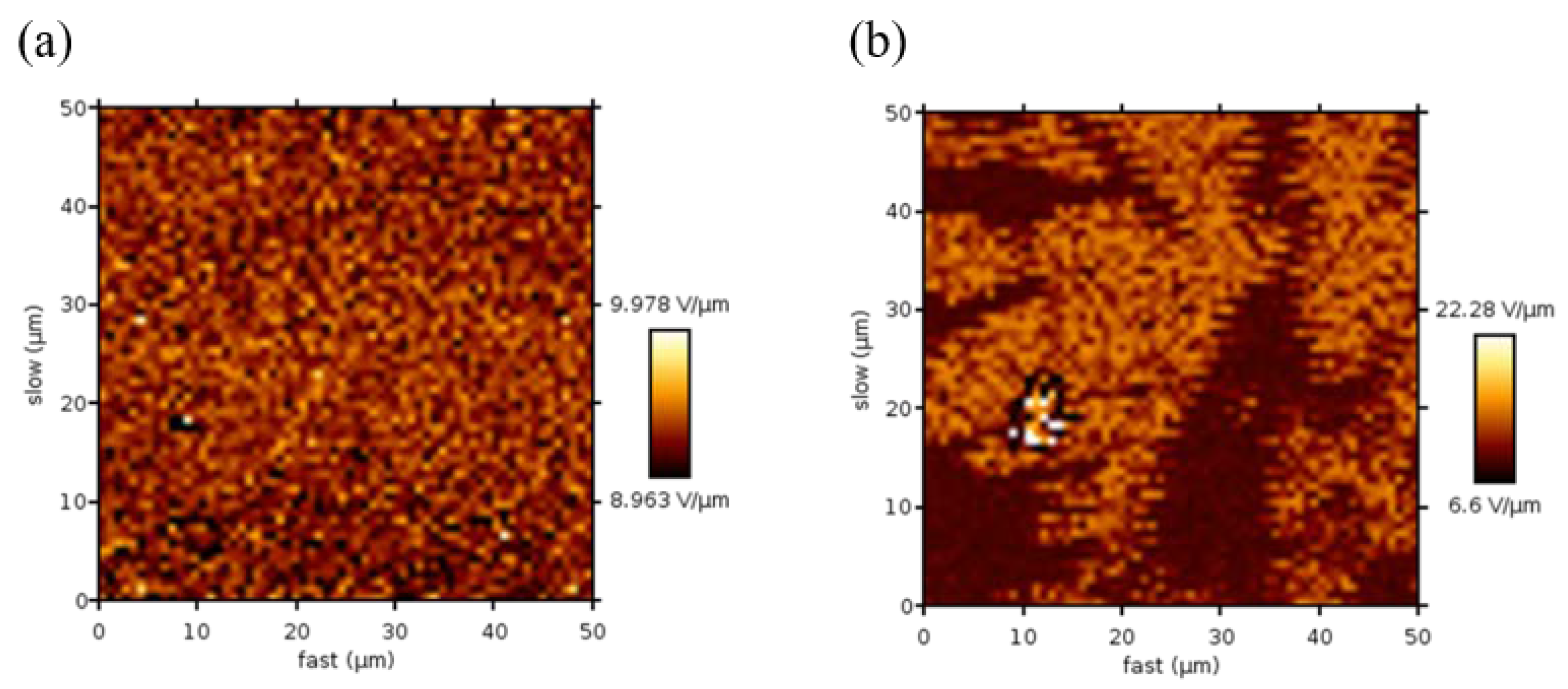 Polymers 14 05072 g005
