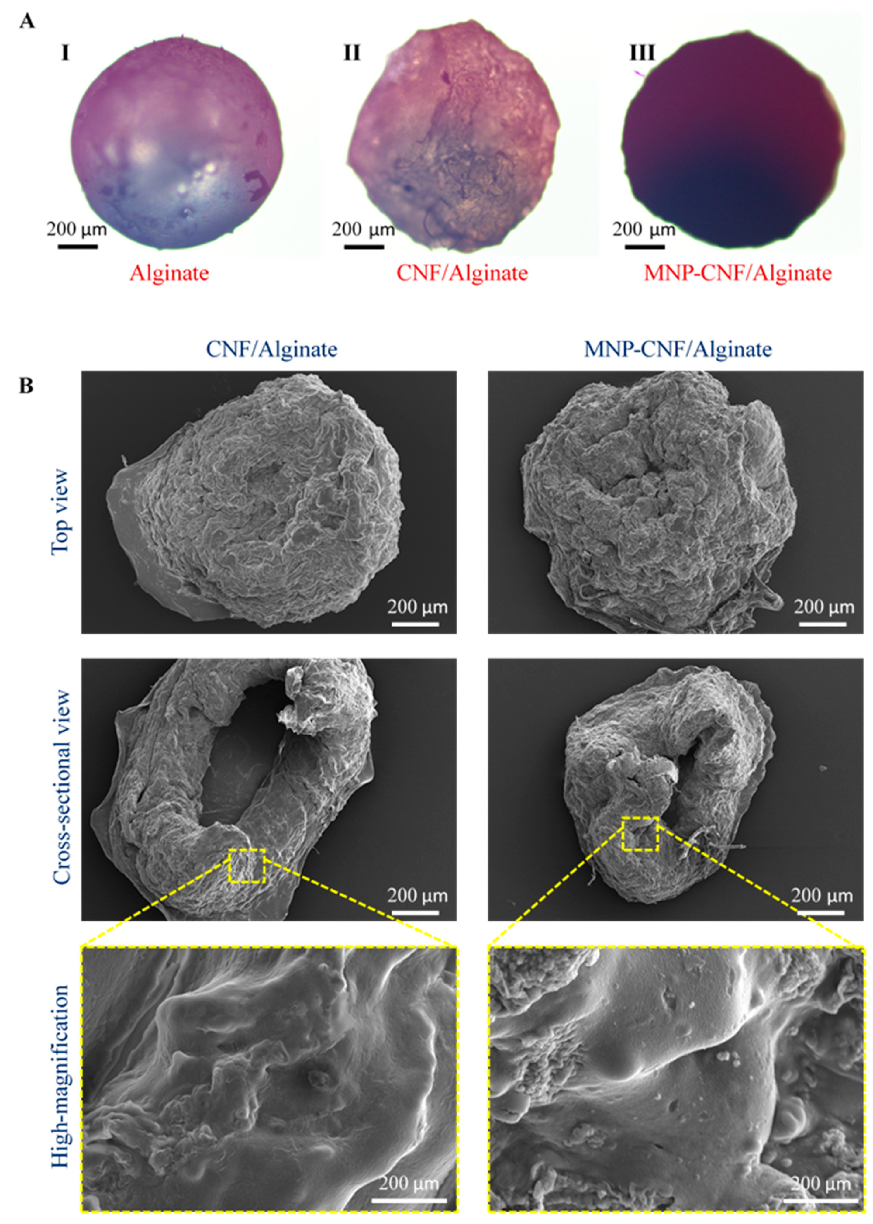 Polymers 14 05074 g002