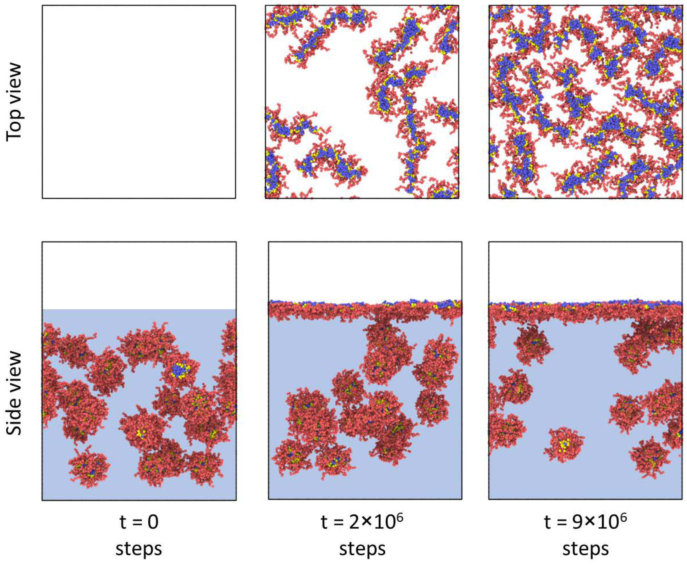 Polymers 14 05076 g002