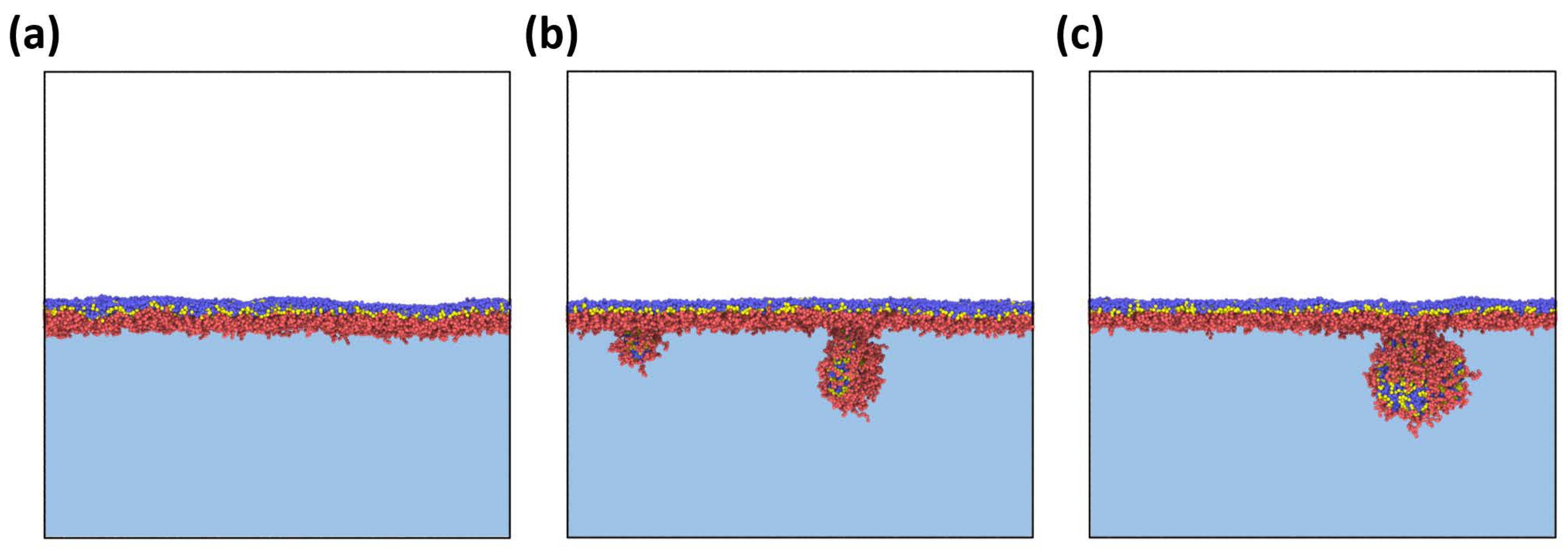 Polymers 14 05076 g006