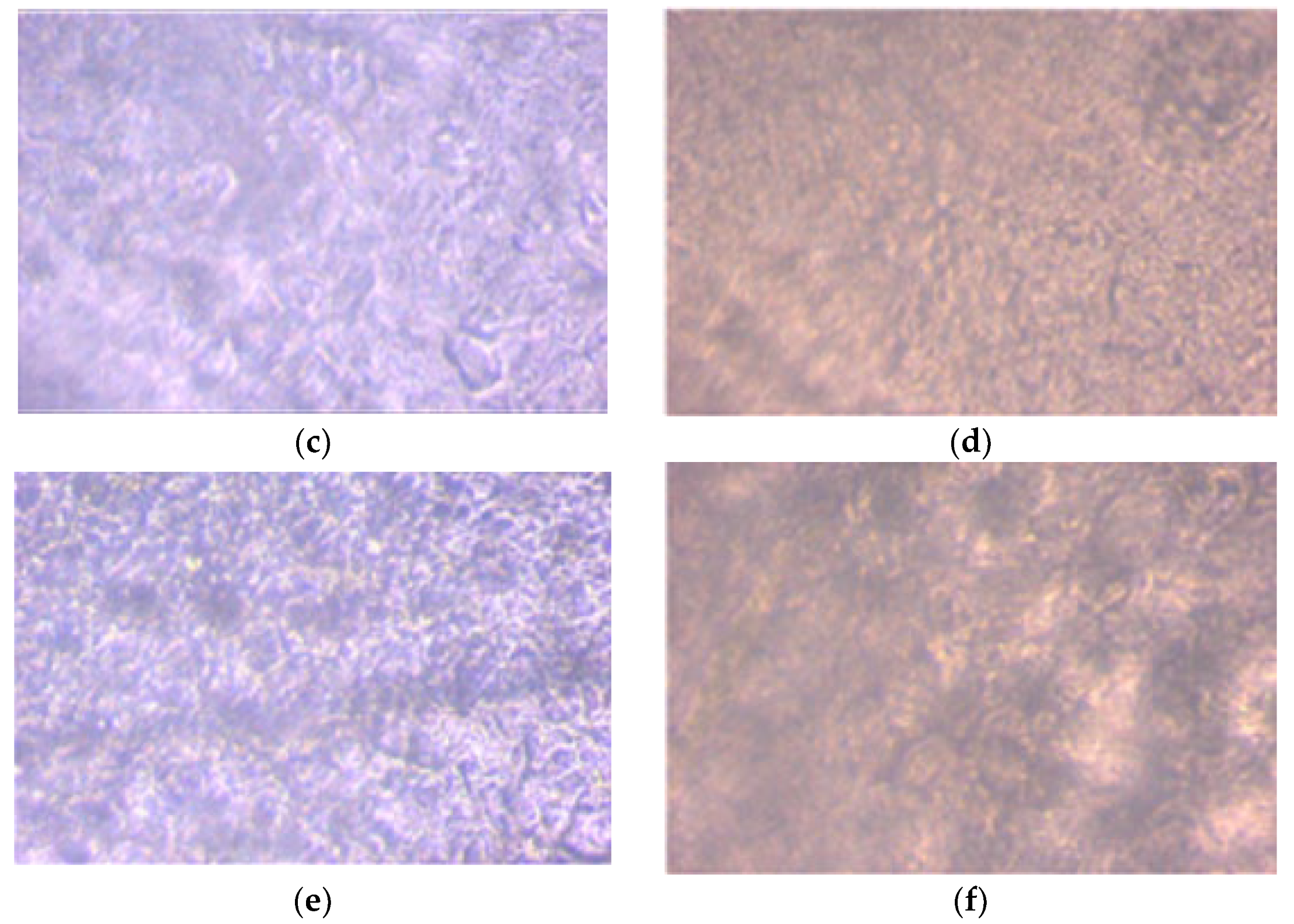 Polymers 14 05077 g001b Polymers 14 05077 g001b