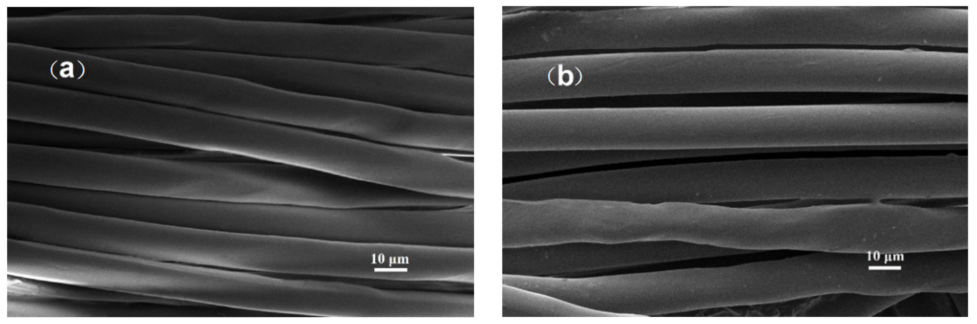 Polymers 14 05080 g006 Polymers 14 05080 g006