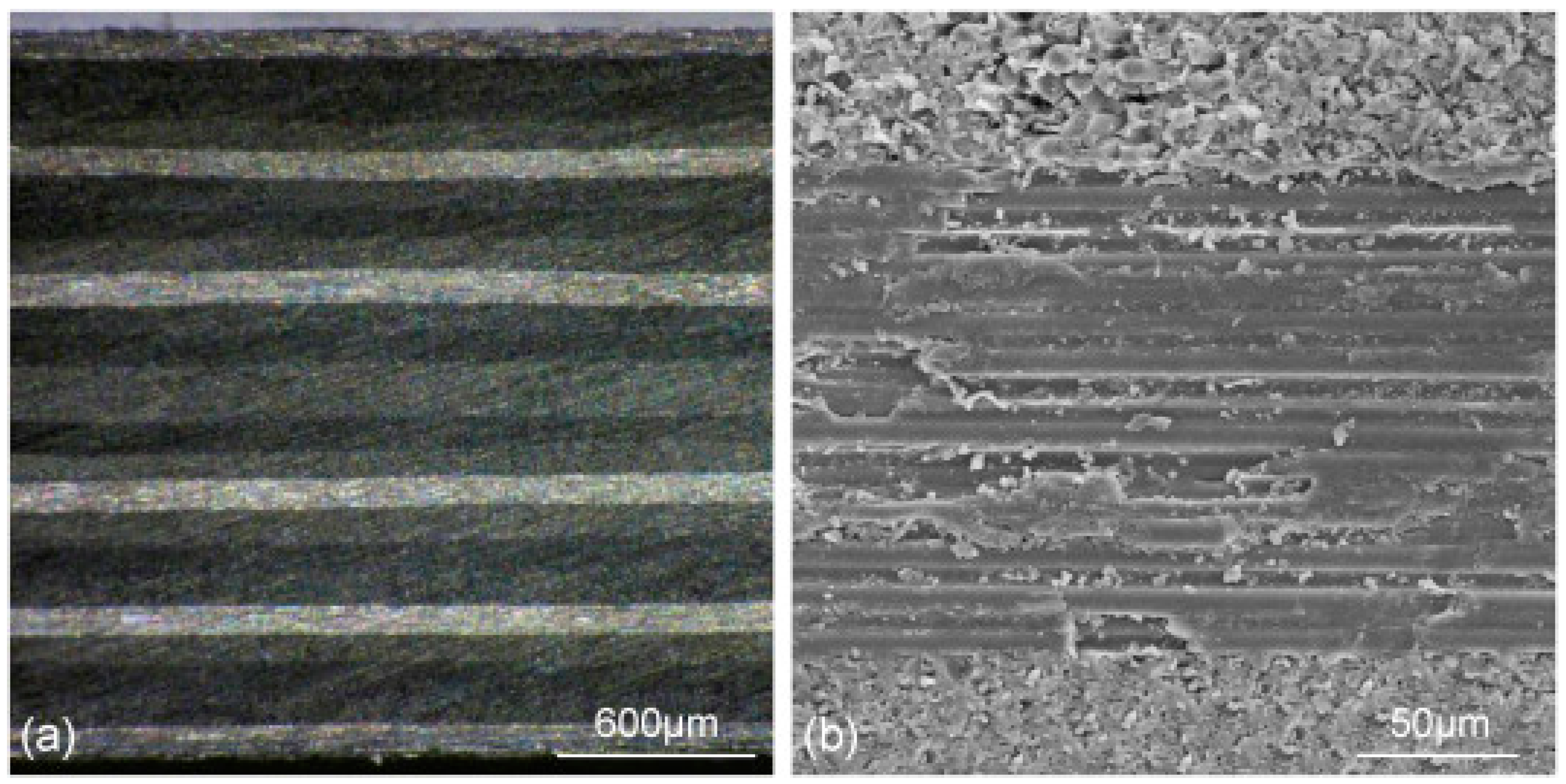 Polymers 14 05082 g001 Polymers 14 05082 g001