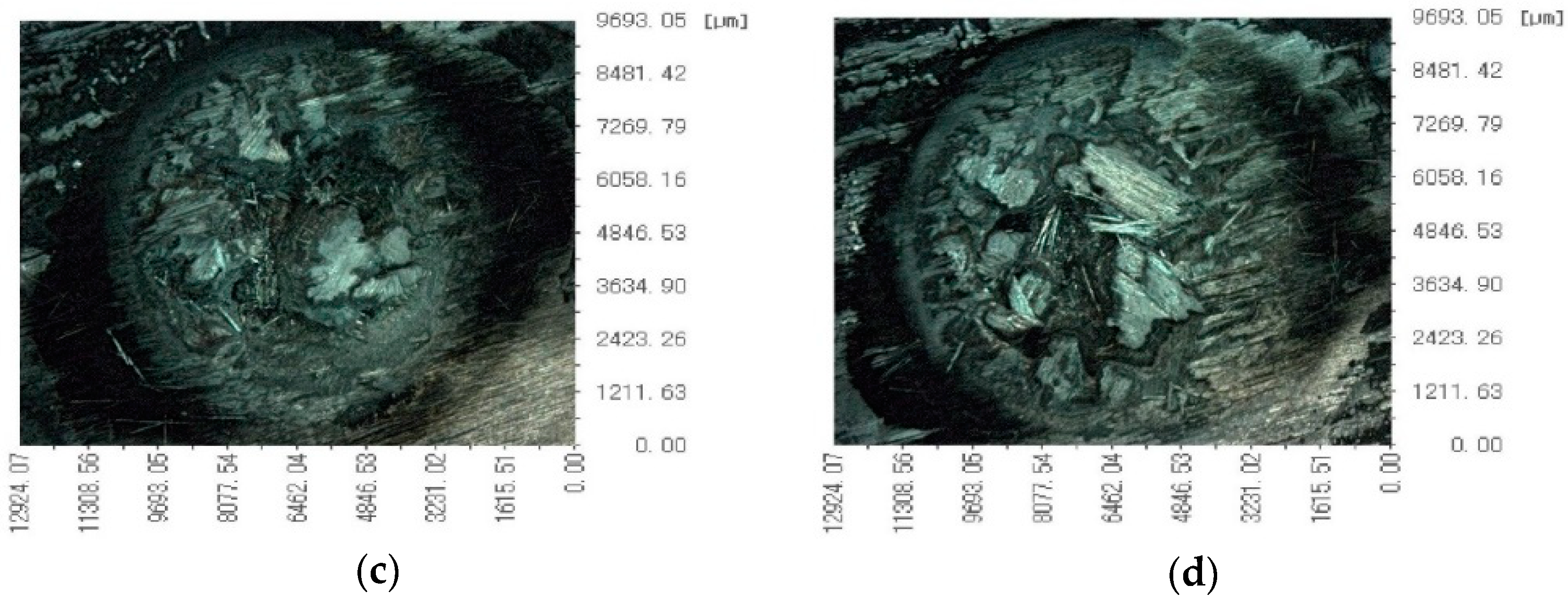 Polymers 14 05082 g006b Polymers 14 05082 g006b