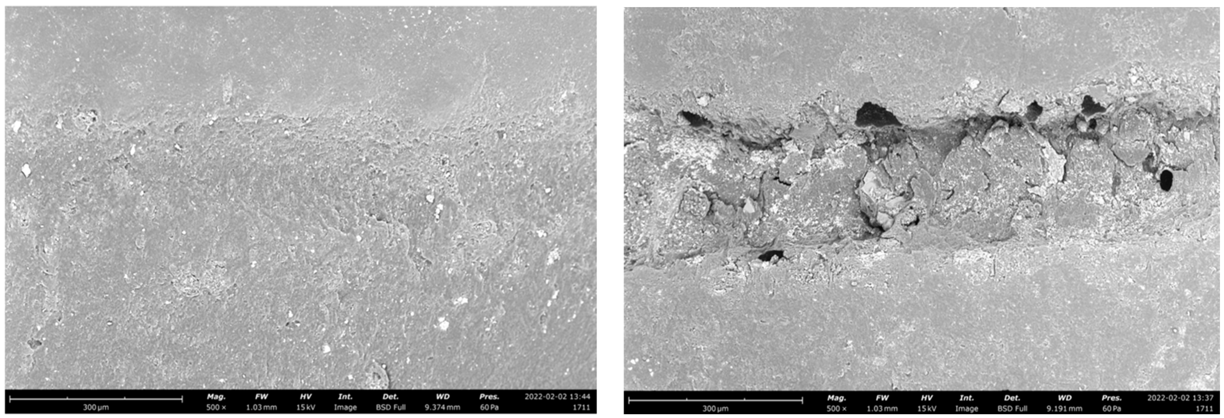 Polymers 14 05084 g001