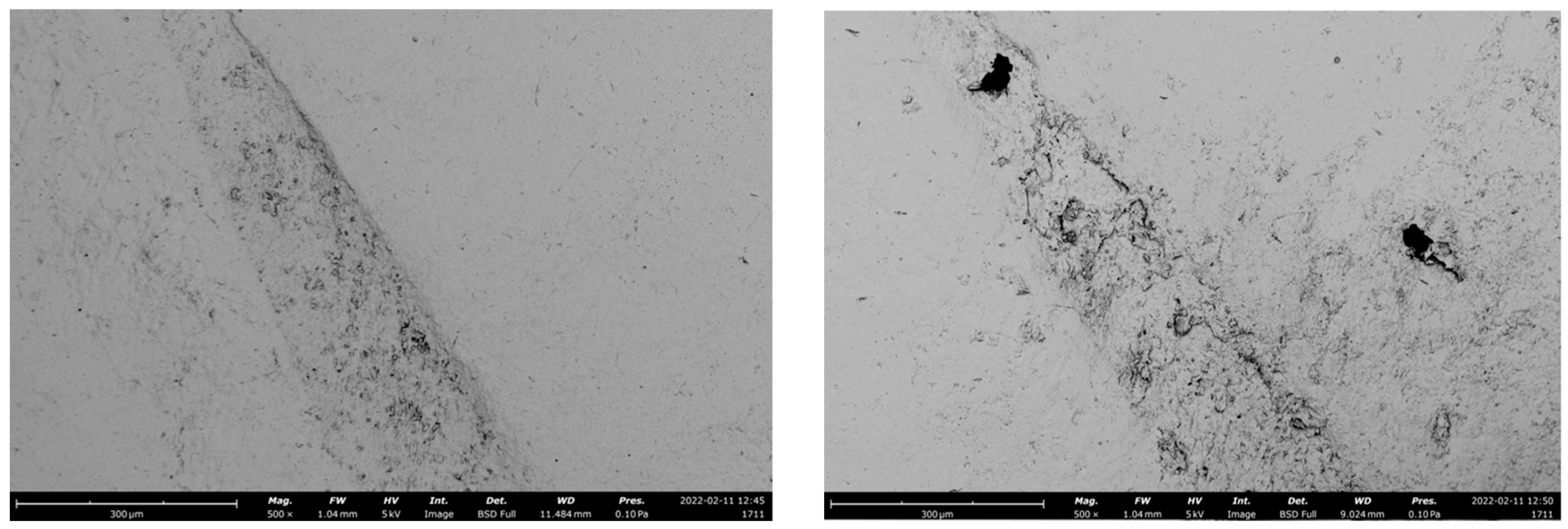 Polymers 14 05084 g002