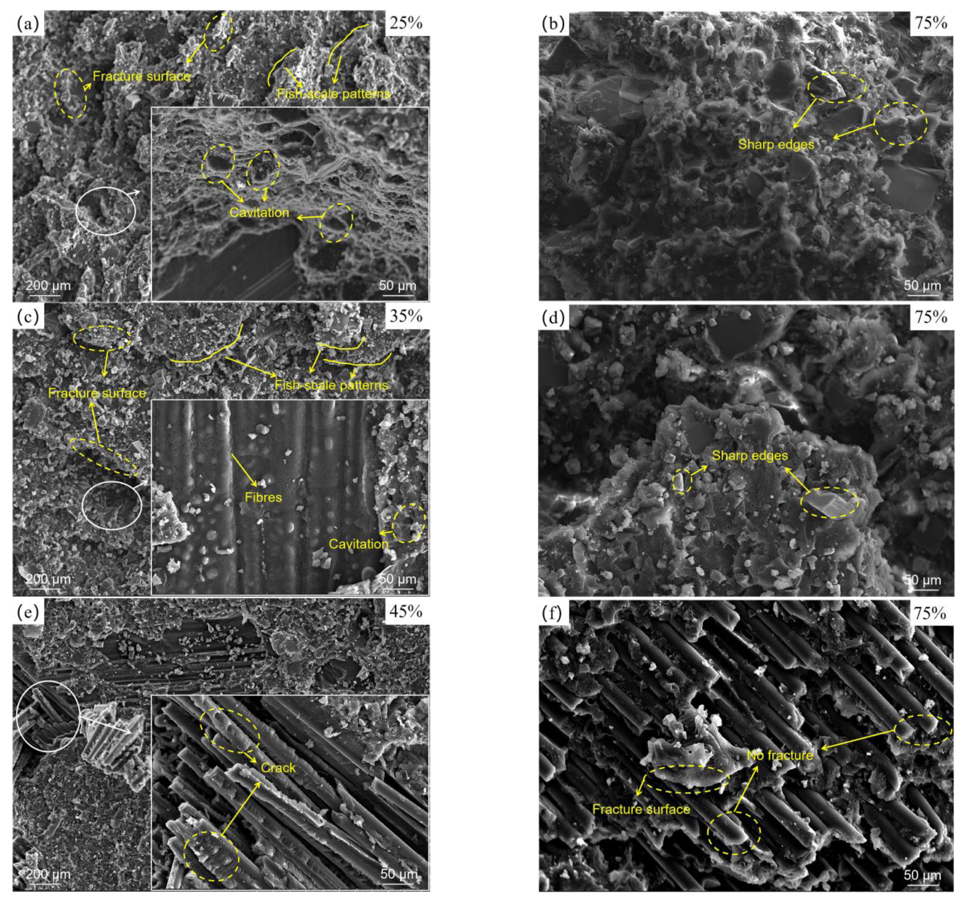 Polymers 14 05088 g009