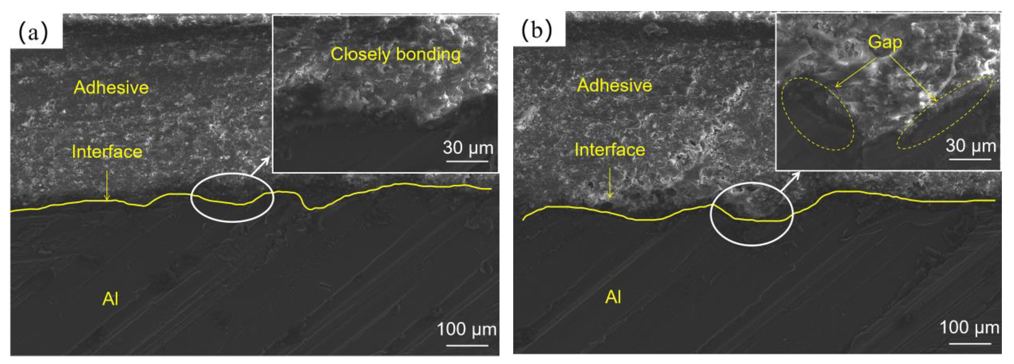 Polymers 14 05088 g010