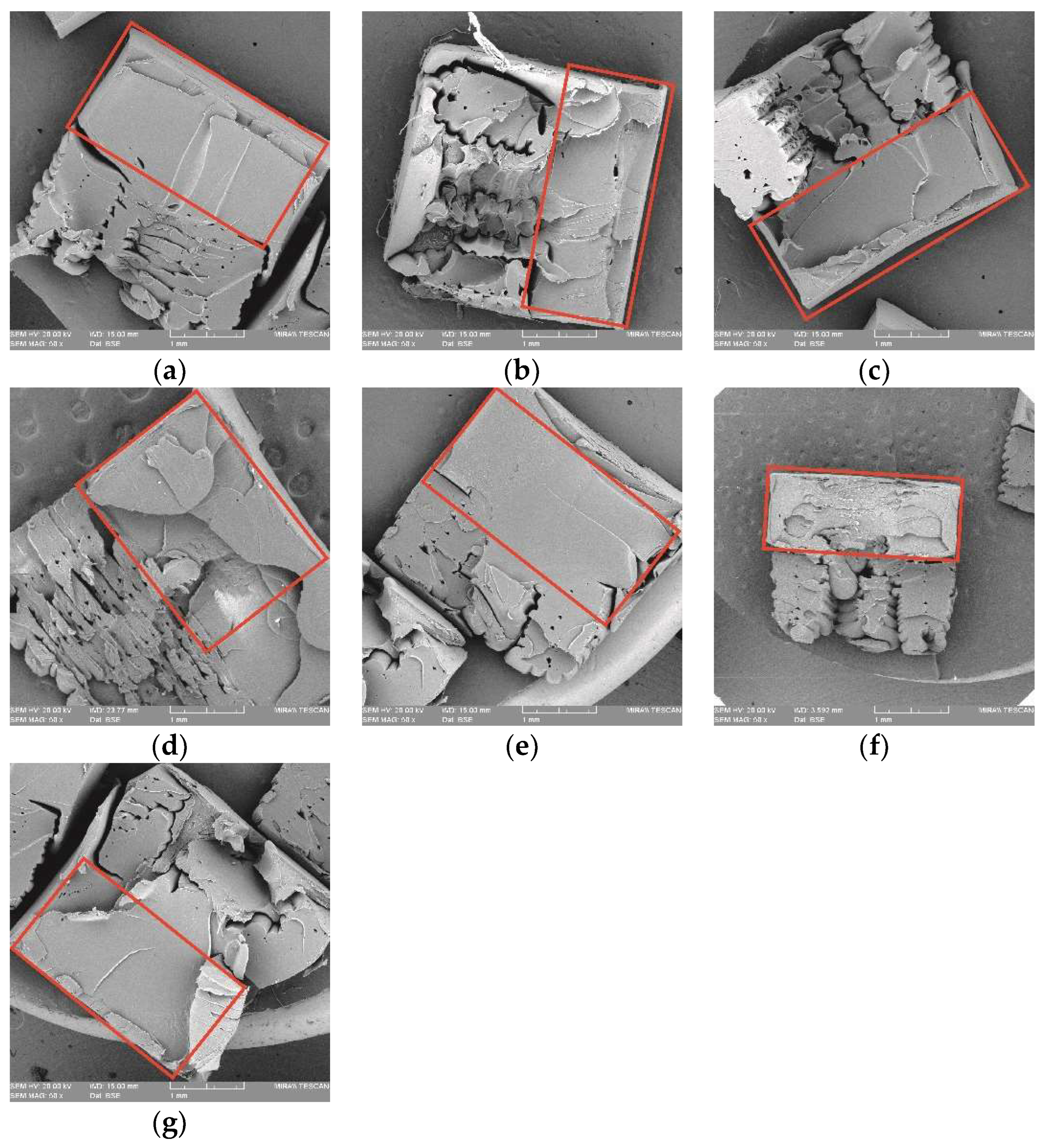Polymers 14 05093 g010 Polymers 14 05093 g010