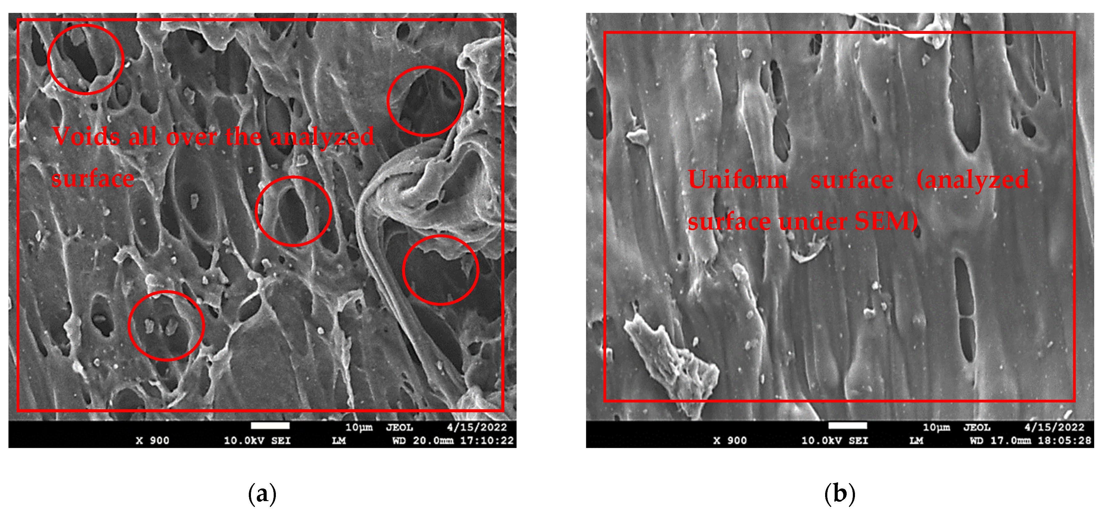 Polymers 14 05098 g008