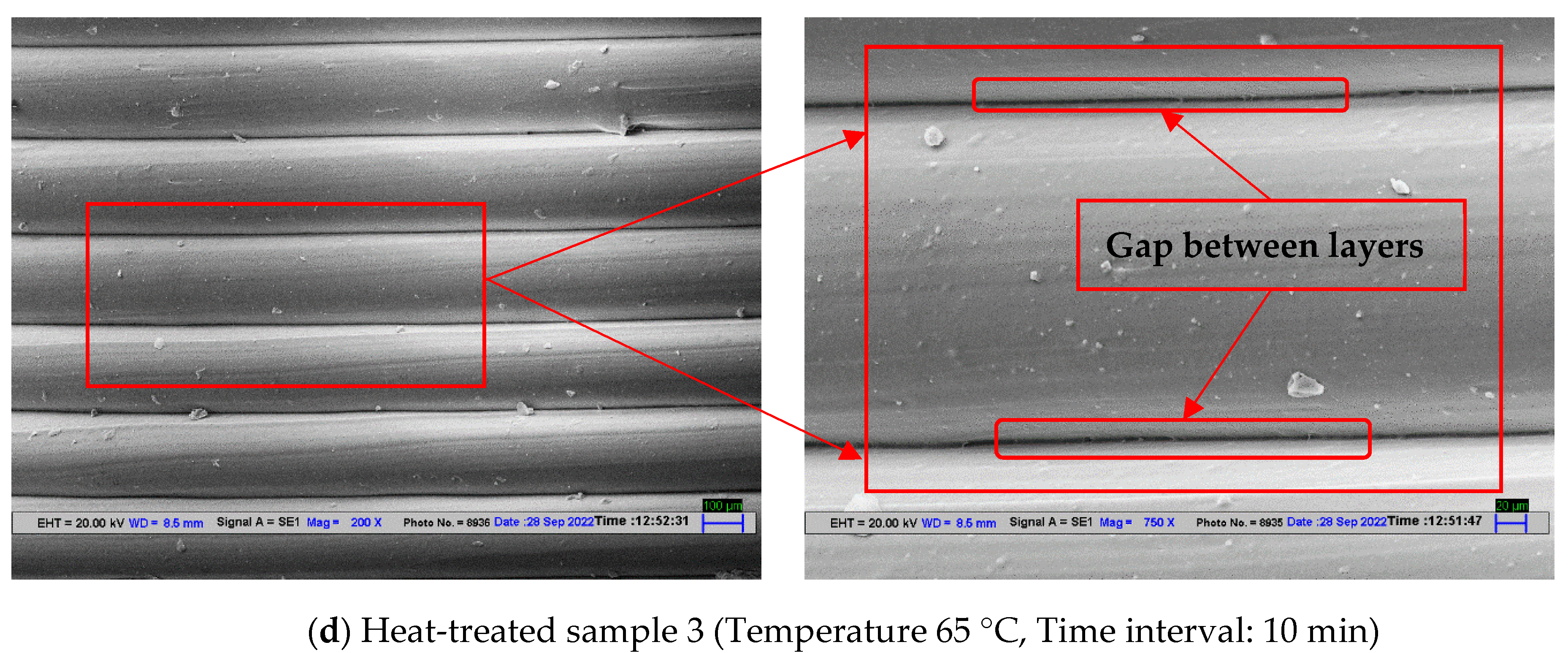 Polymers 14 05098 g009b