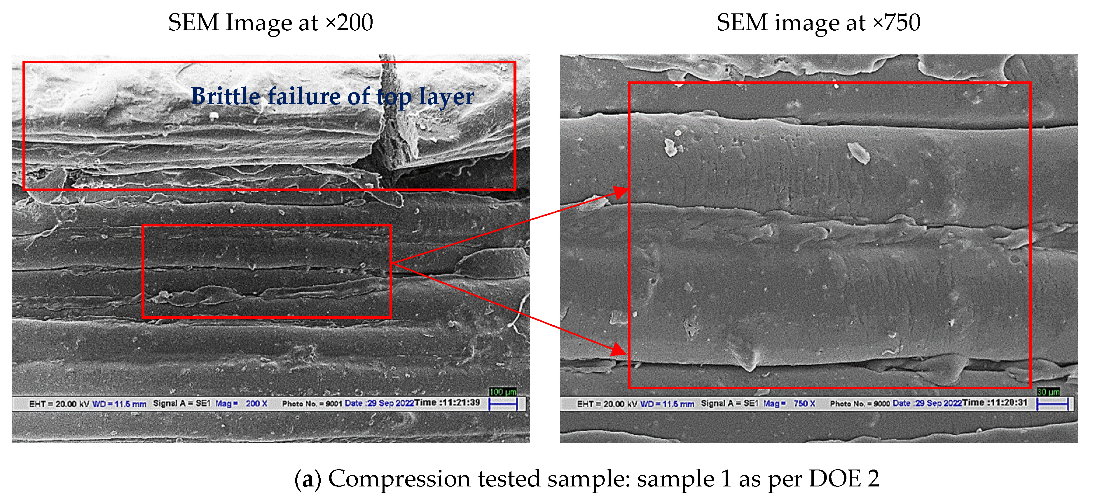 Polymers 14 05098 g010a