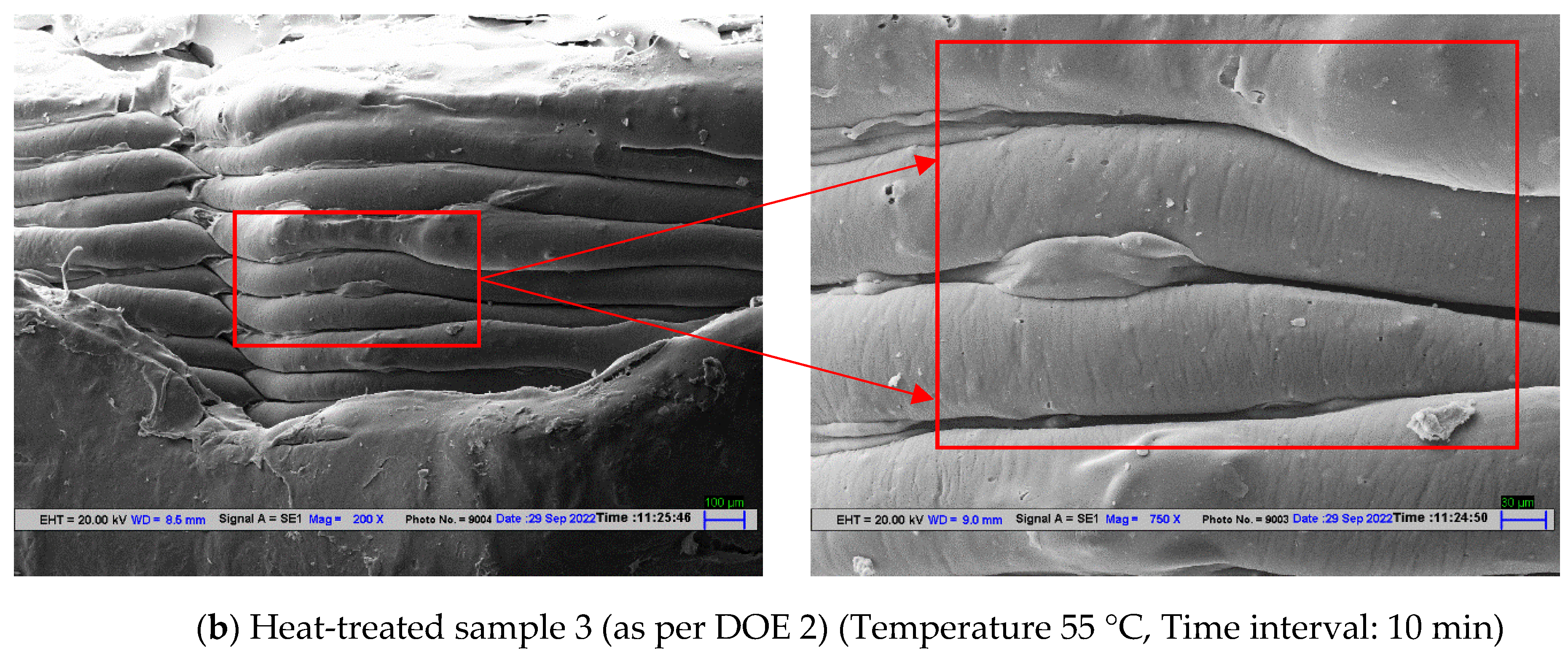 Polymers 14 05098 g010b