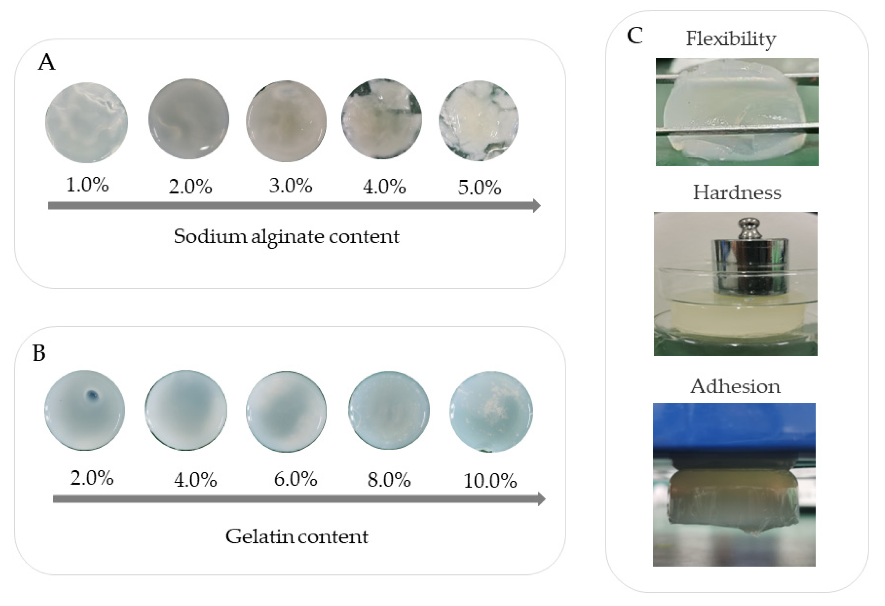 Polymers 14 05101 g002