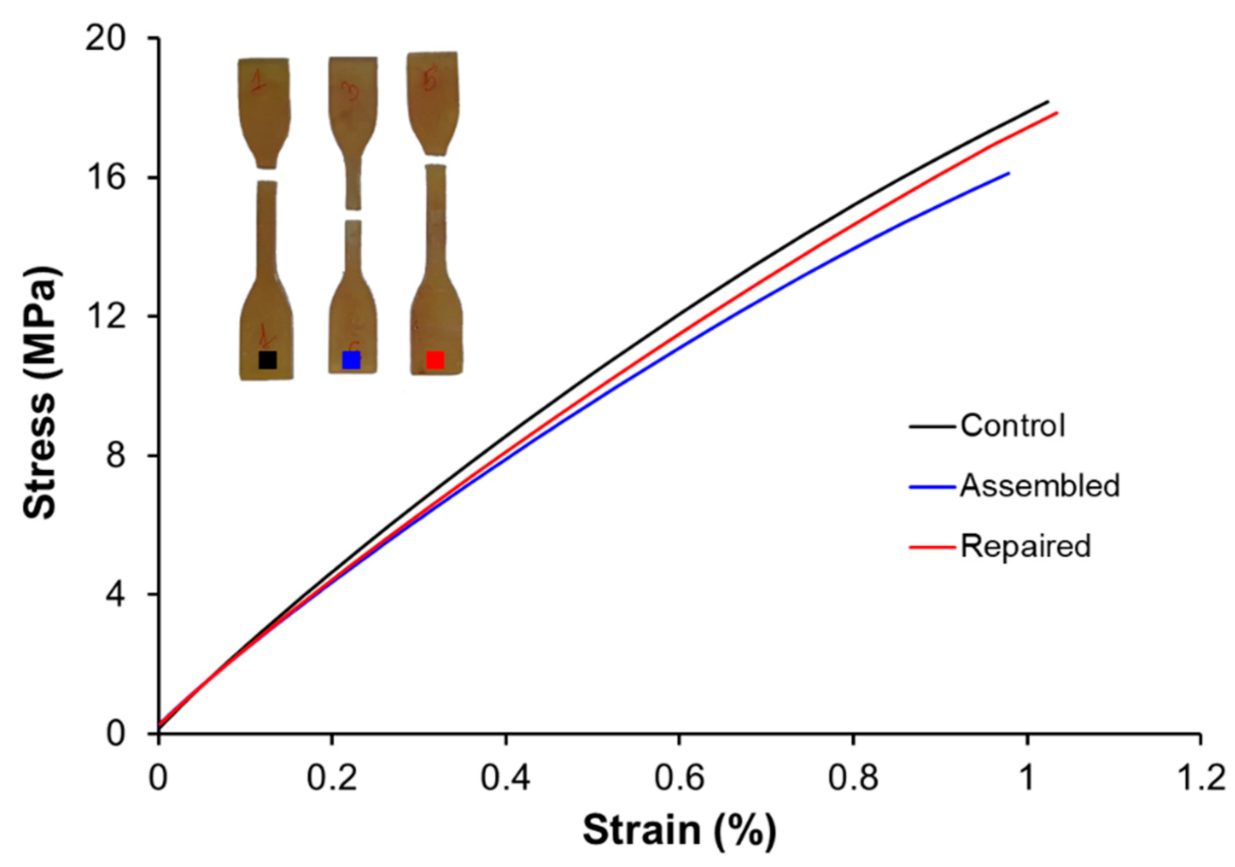 Polymers 14 05102 g017