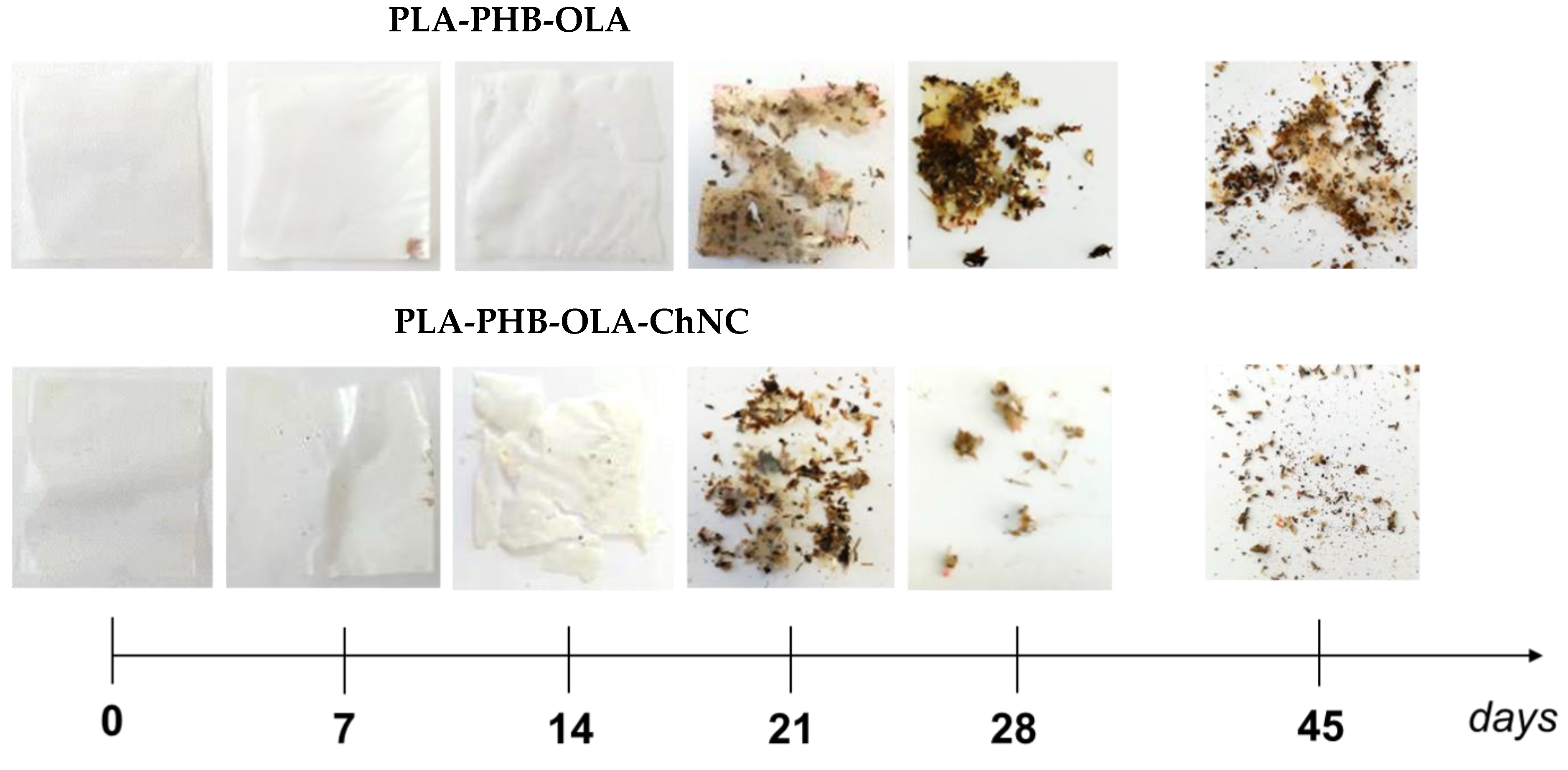 Polymers 14 05104 g004 Polymers 14 05104 g004