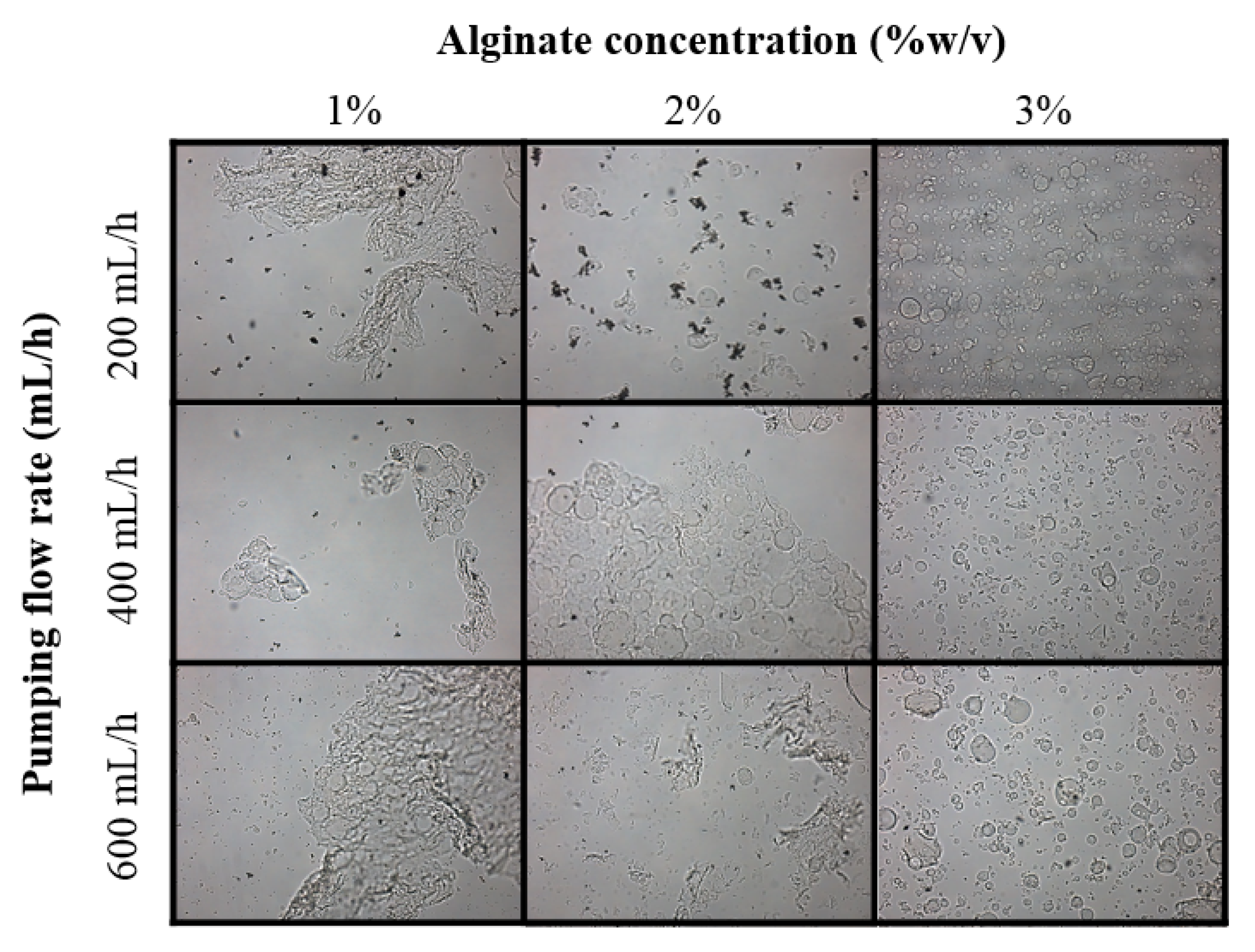 Polymers 14 05115 g001 Polymers 14 05115 g001