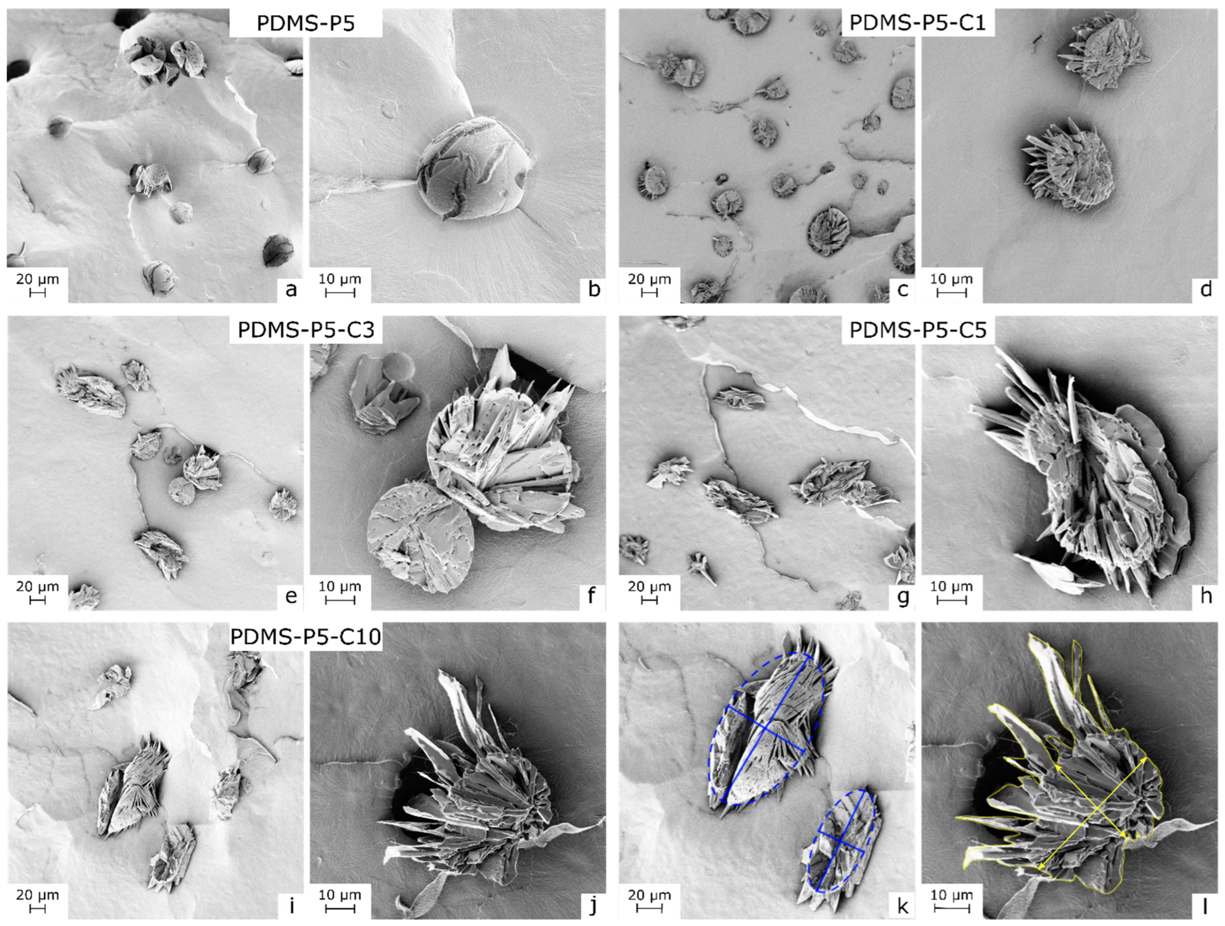 Polymers 14 05117 g003