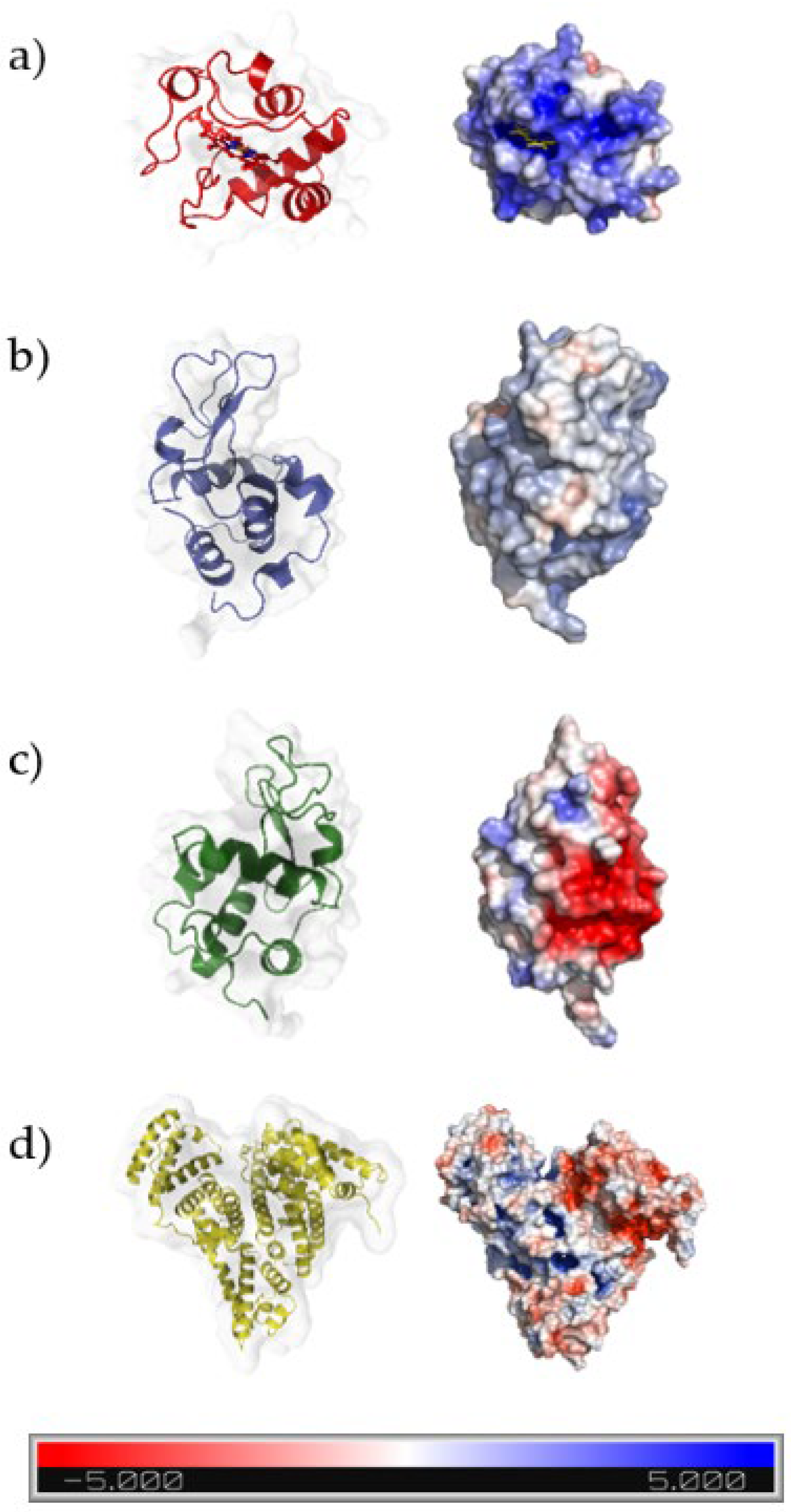 Polymers 14 05122 g011 Polymers 14 05122 g011