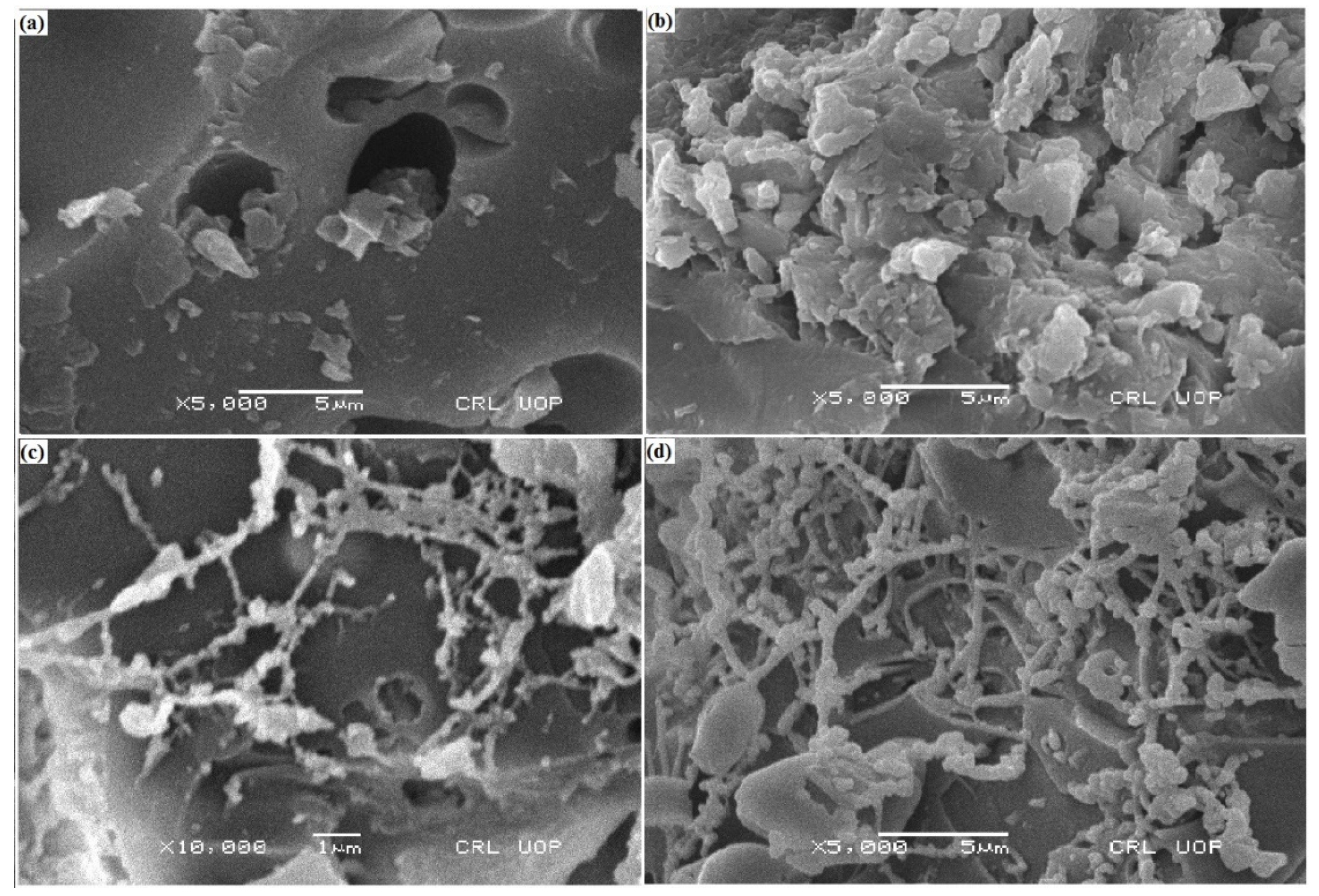 Polymers 14 05128 g006