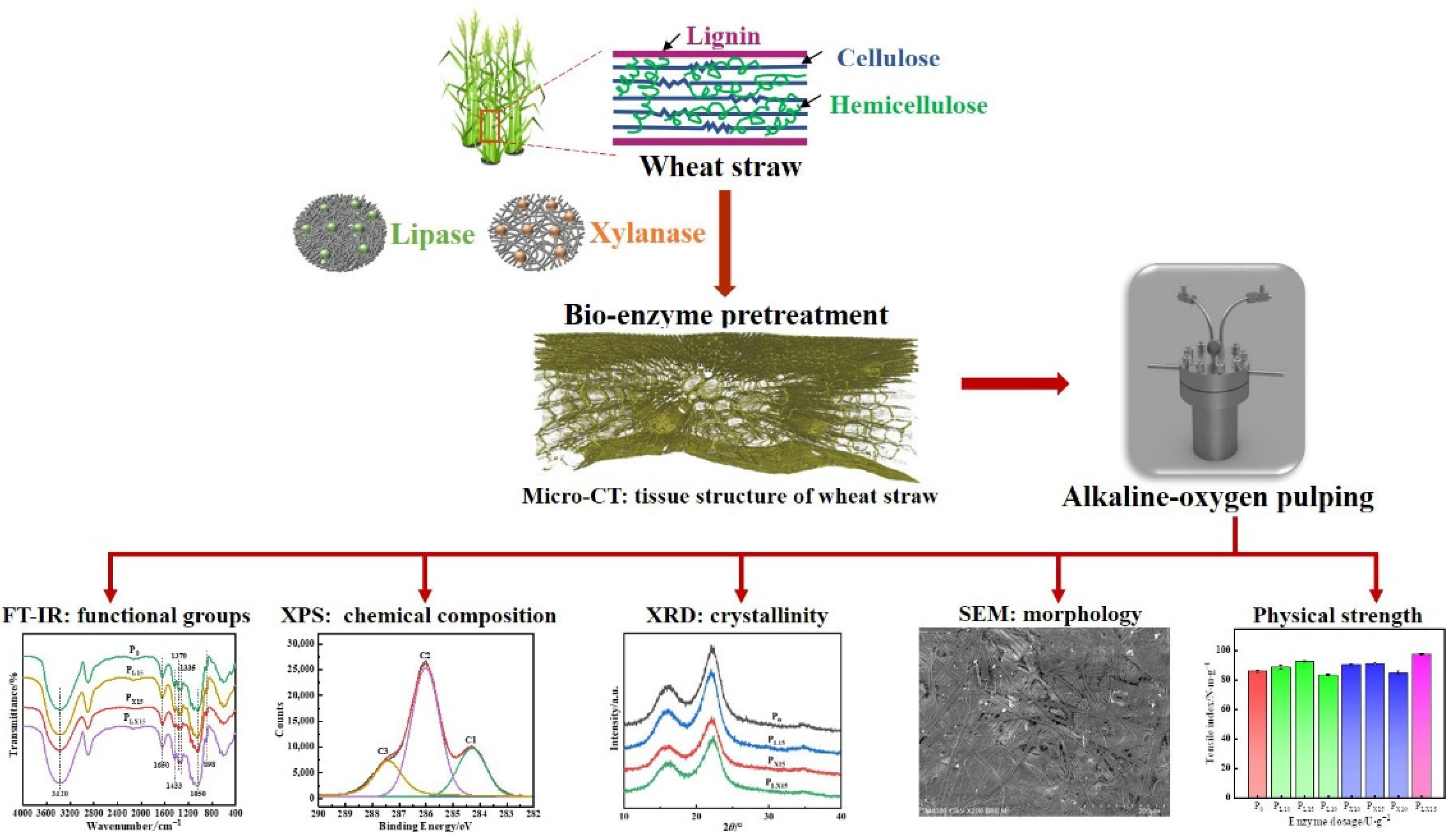 Polymers 14 05129 g001 Polymers 14 05129 g001