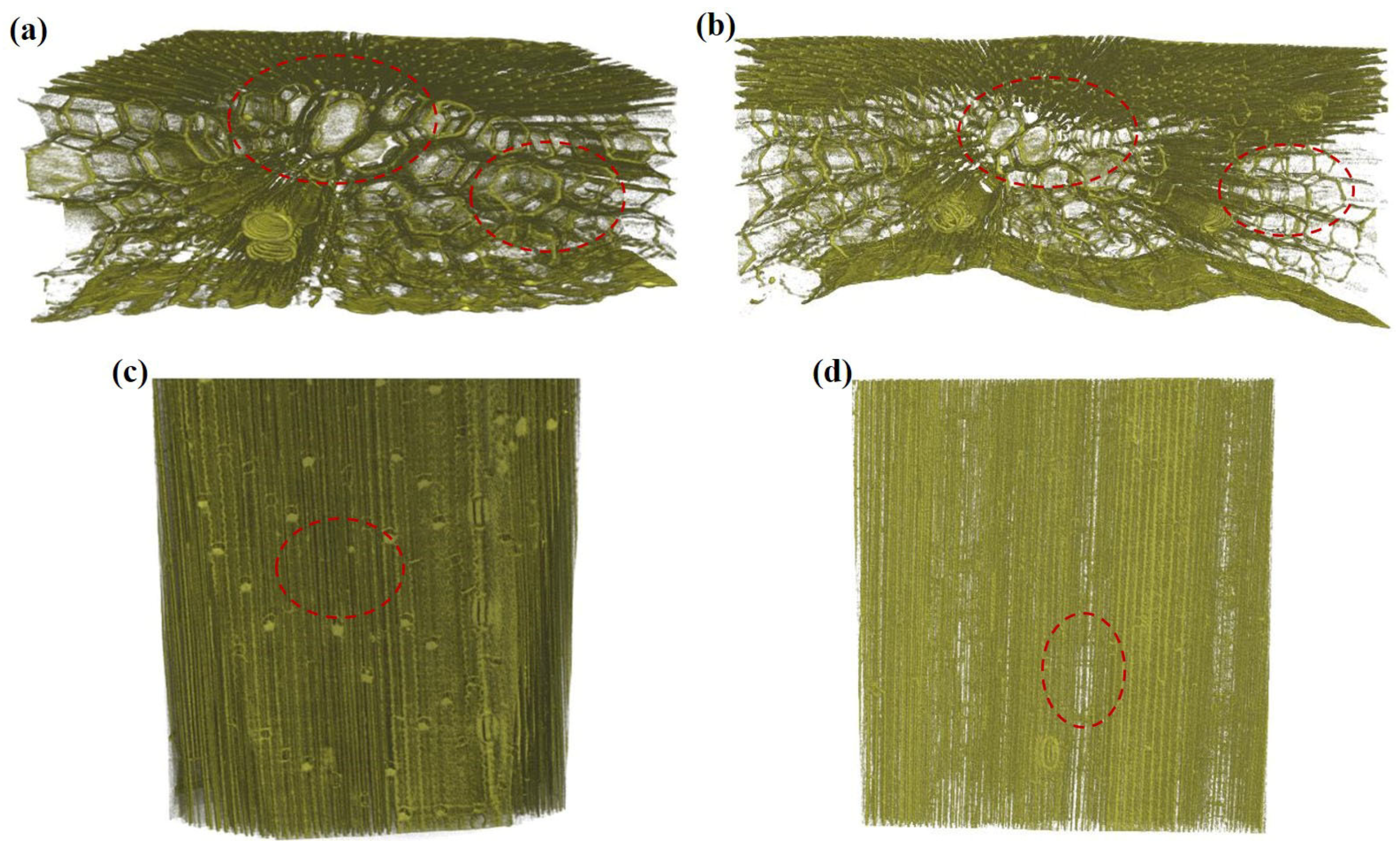 Polymers 14 05129 g007a Polymers 14 05129 g007a