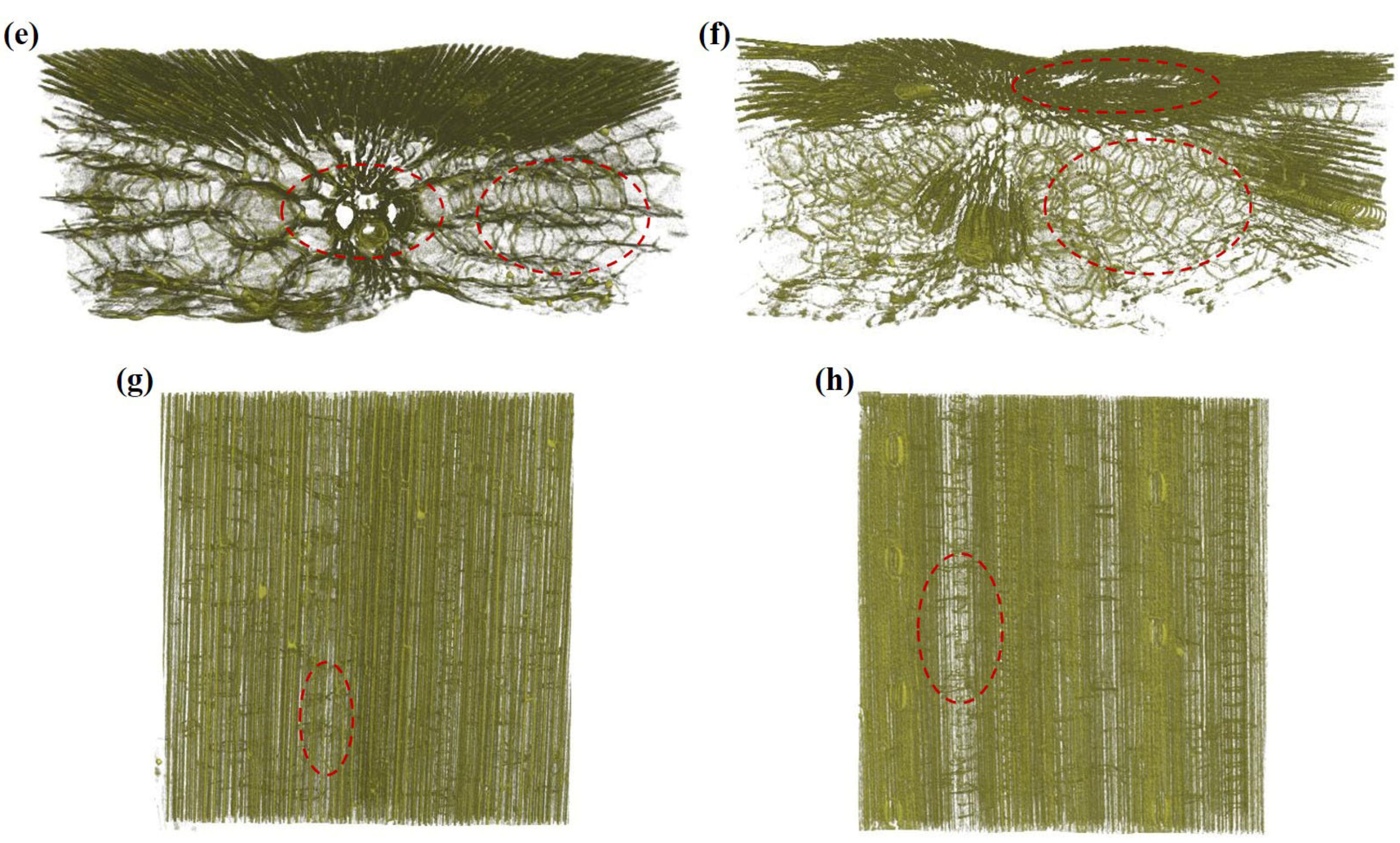 Polymers 14 05129 g007b Polymers 14 05129 g007b