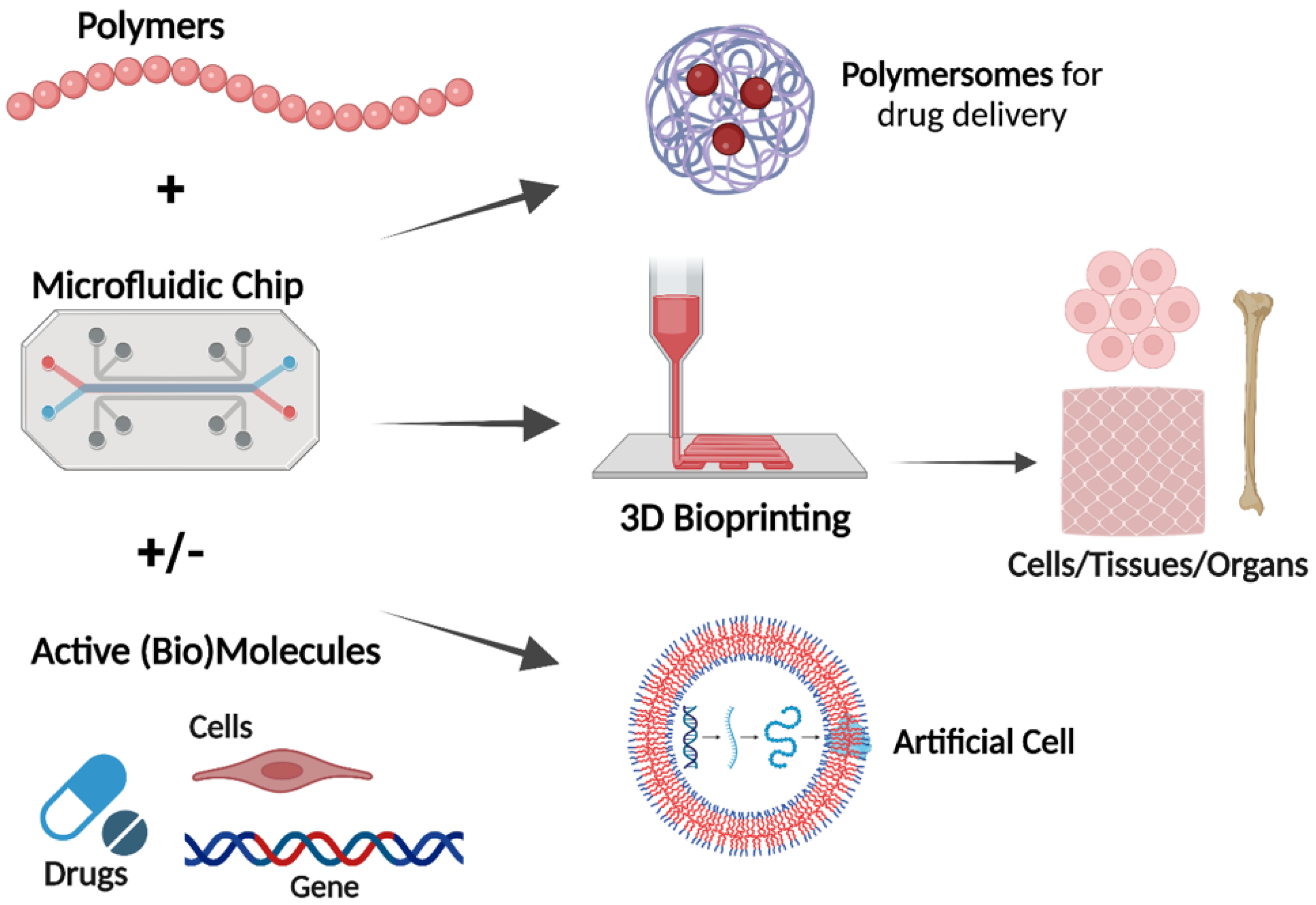 Polymers 14 05132 g001 Polymers 14 05132 g001