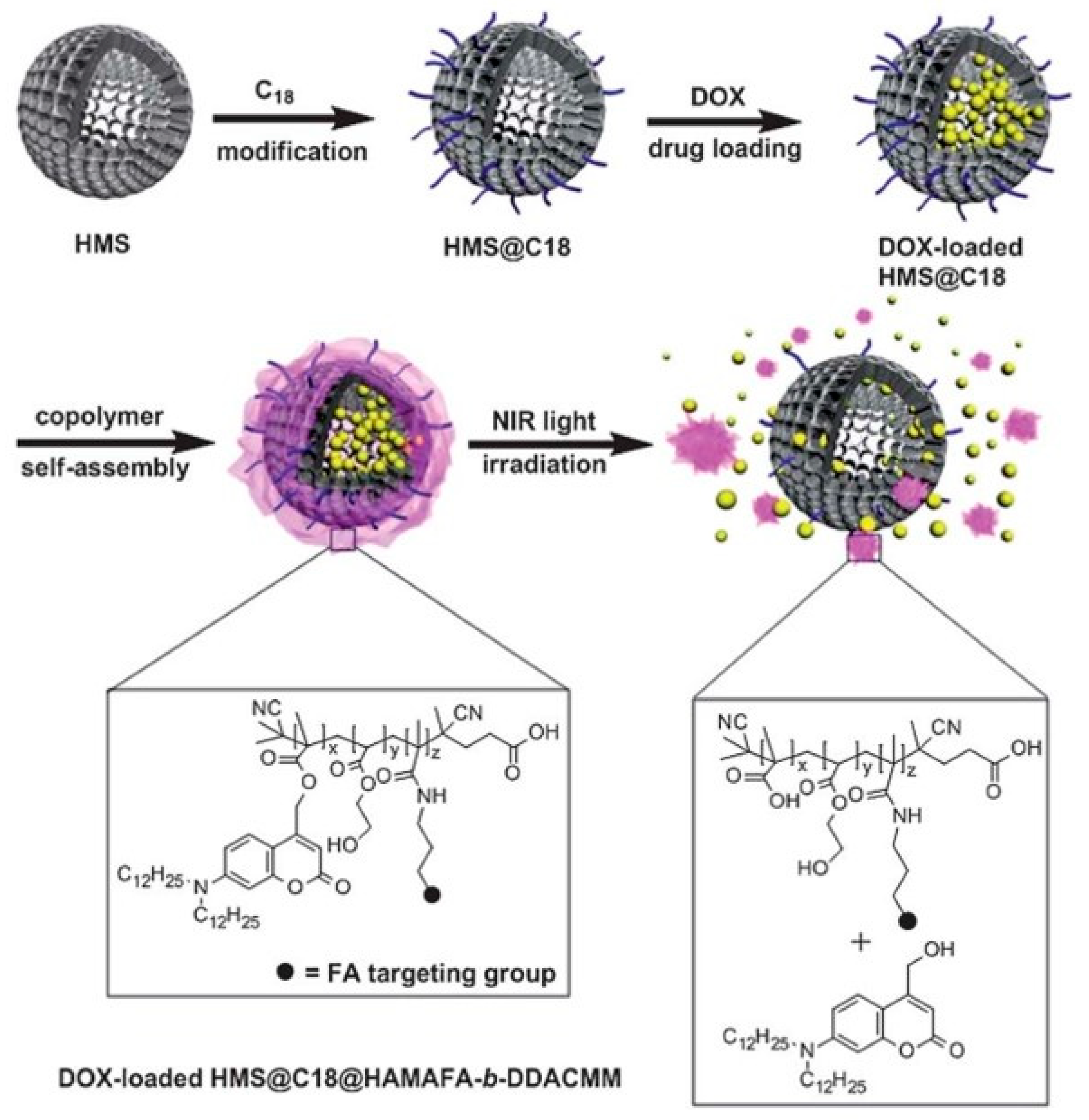 Polymers 14 05134 g006