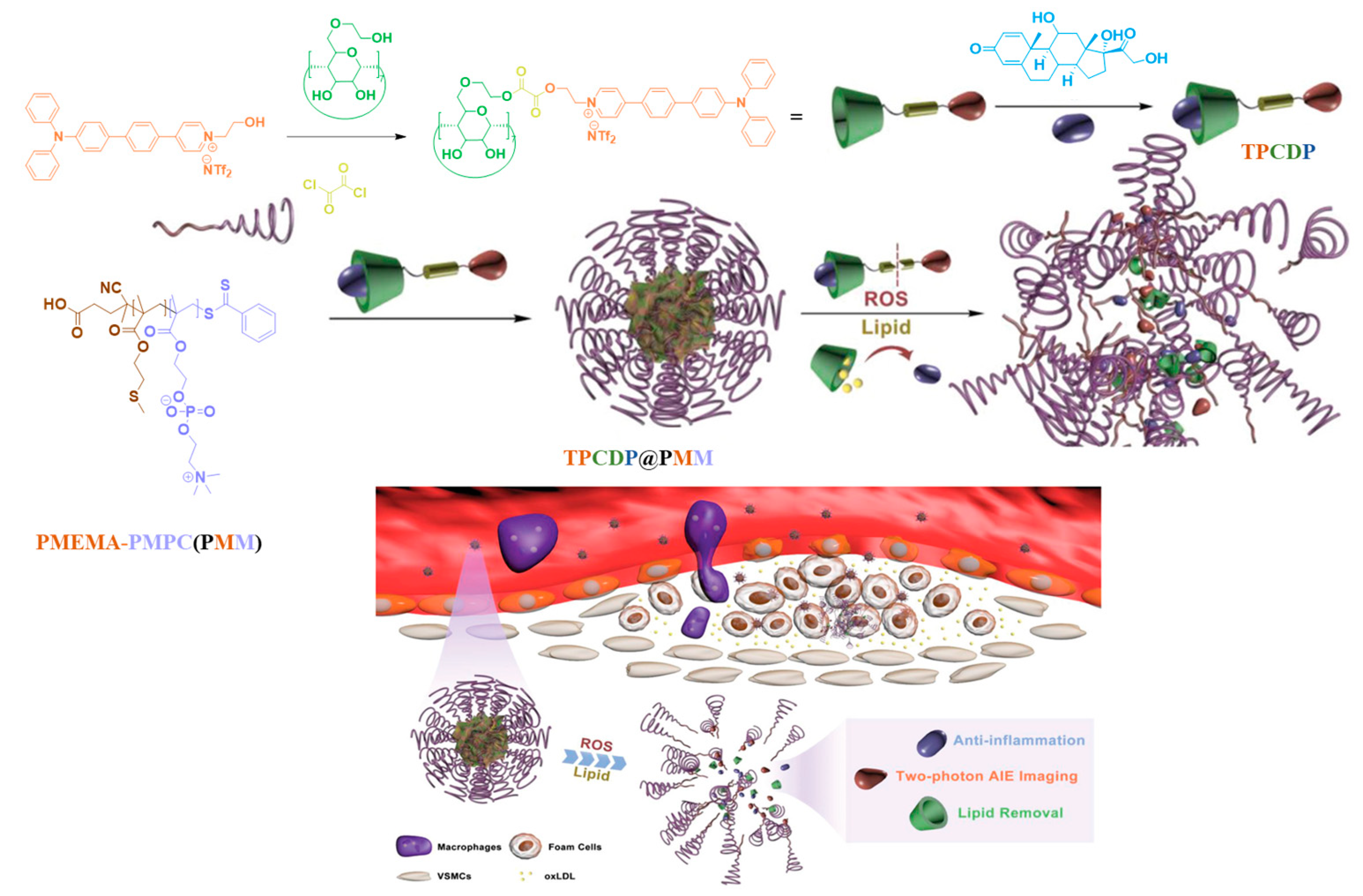 Polymers 14 05134 g009