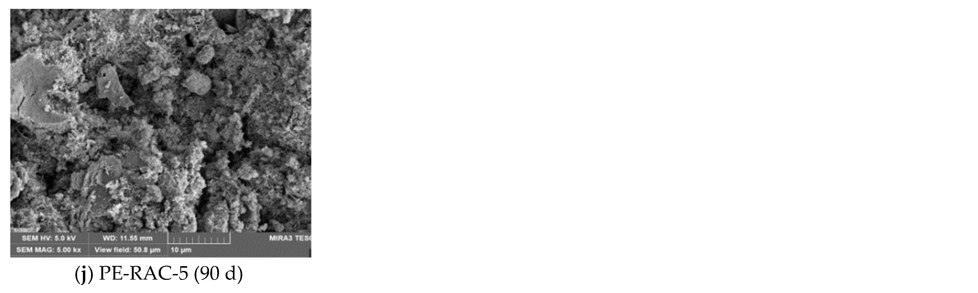 Polymers 14 05137 g010b