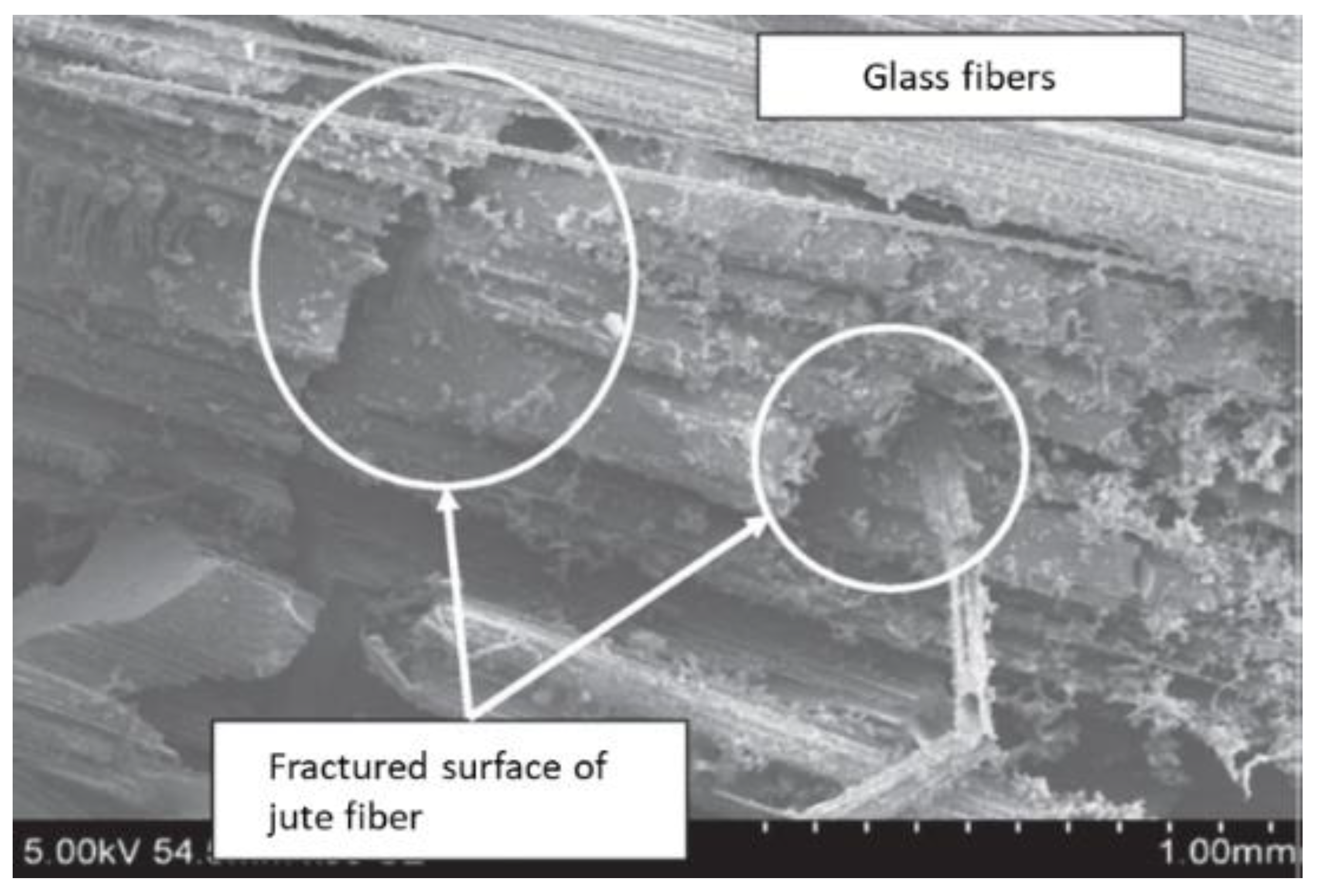 Polymers 14 05138 g003 Polymers 14 05138 g003